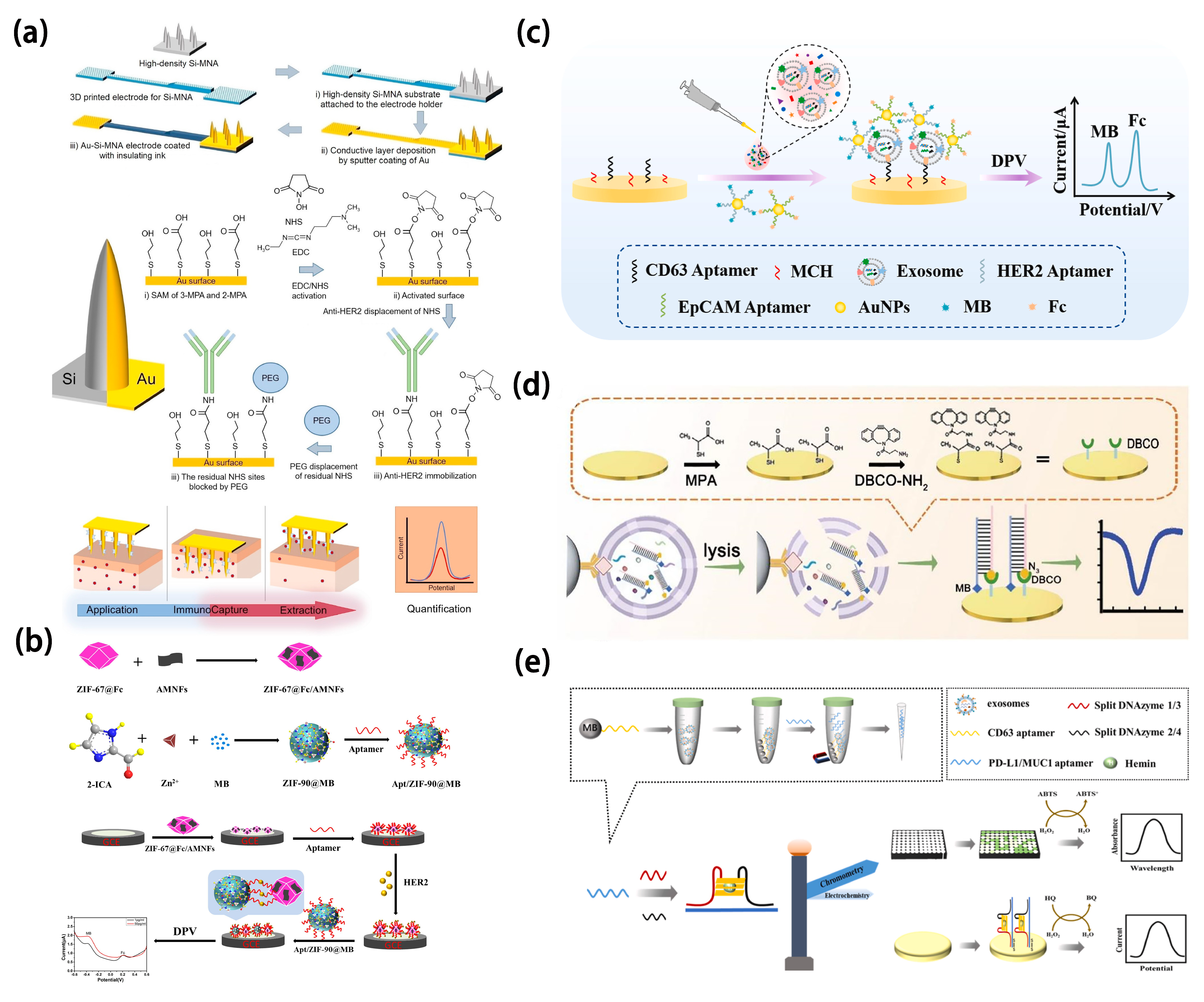 Molecules 30 02708 g007