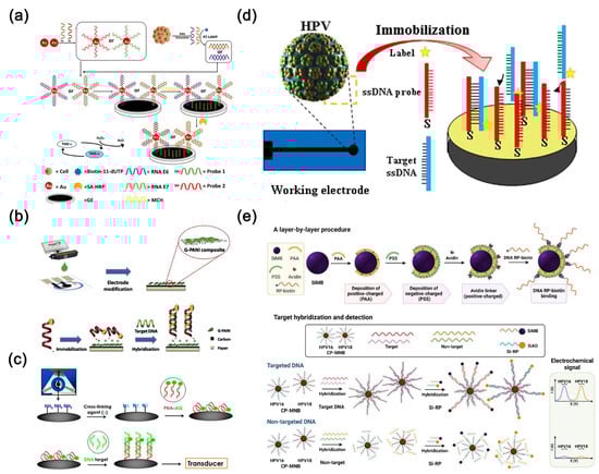 Molecules 30 02708 g008