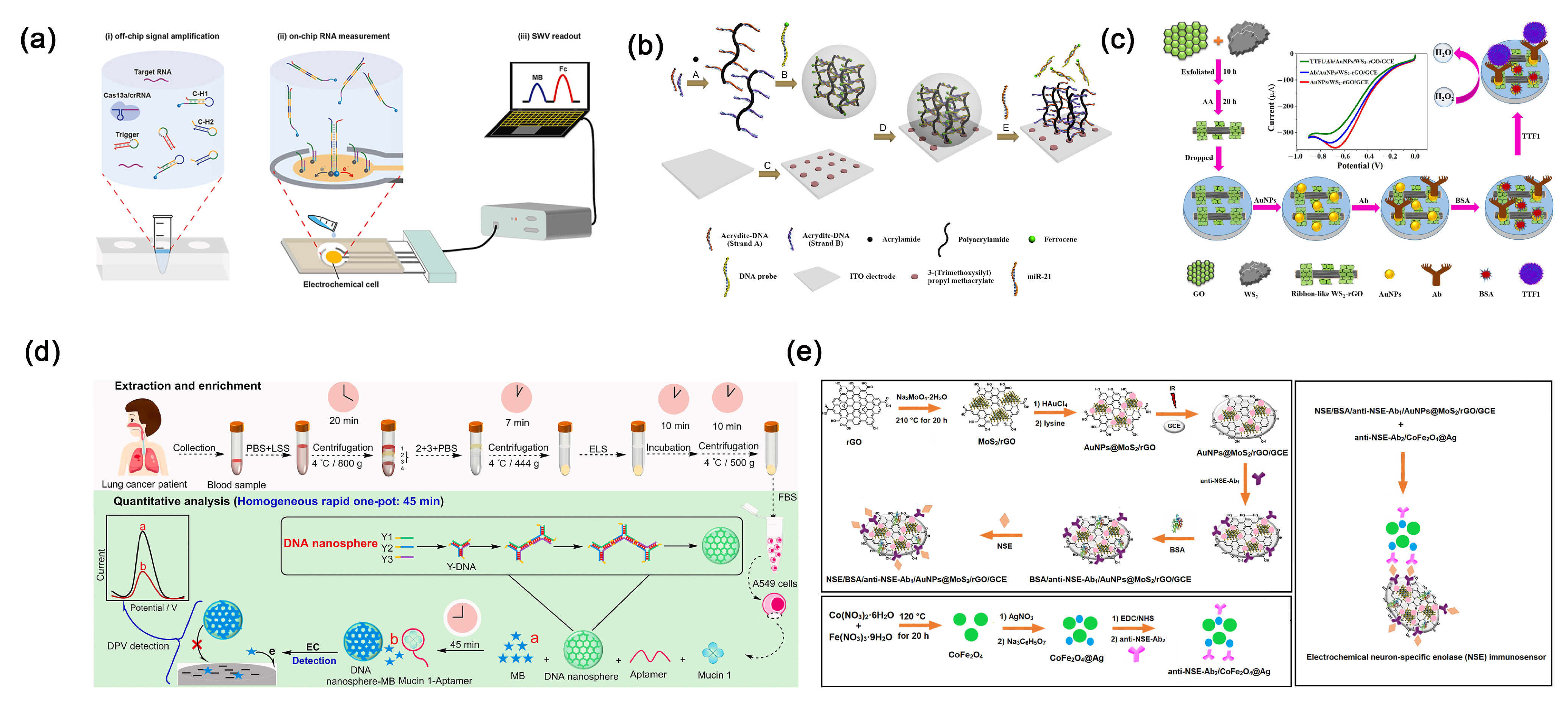 Molecules 30 02708 g009
