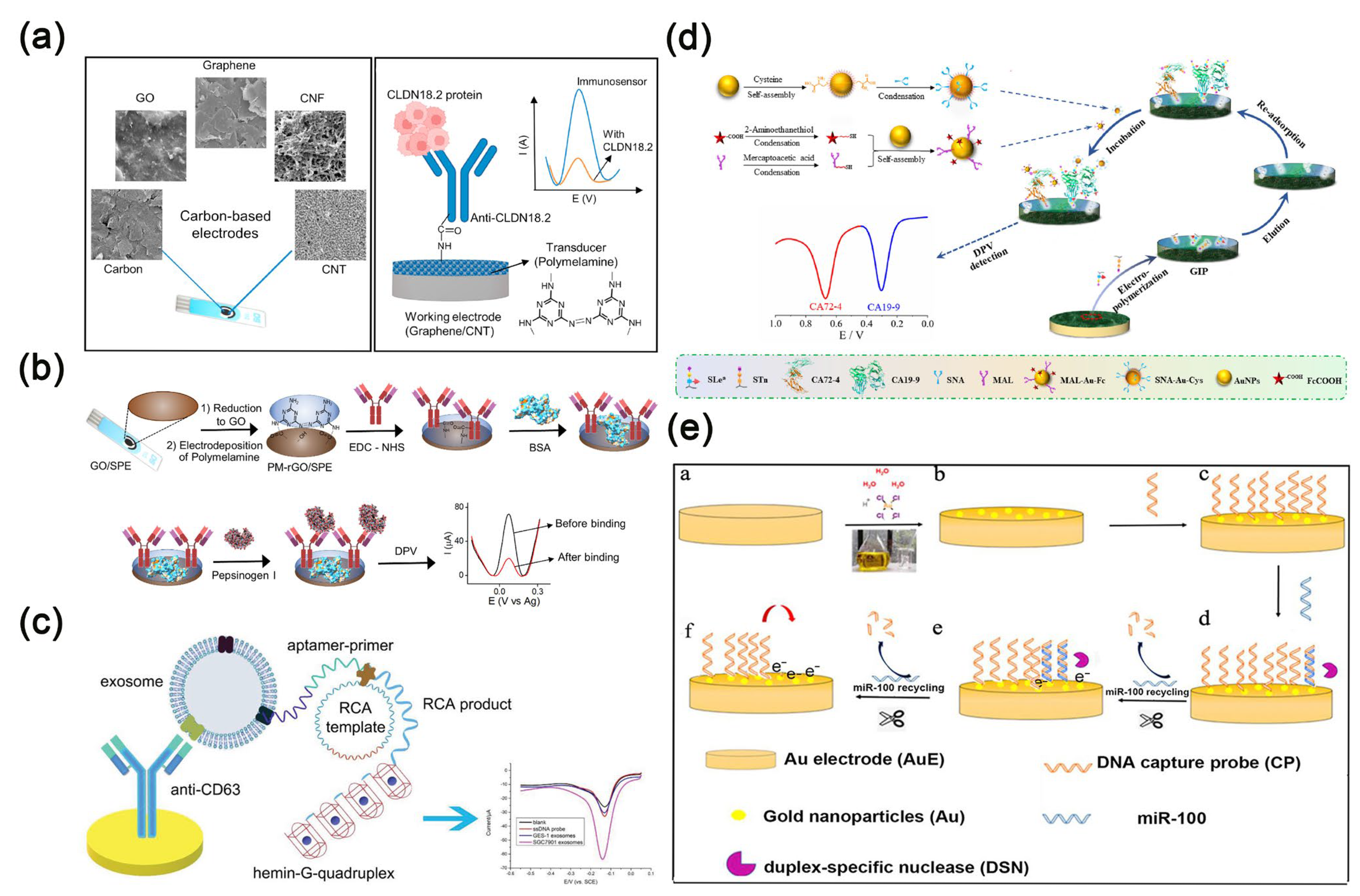 Molecules 30 02708 g010
