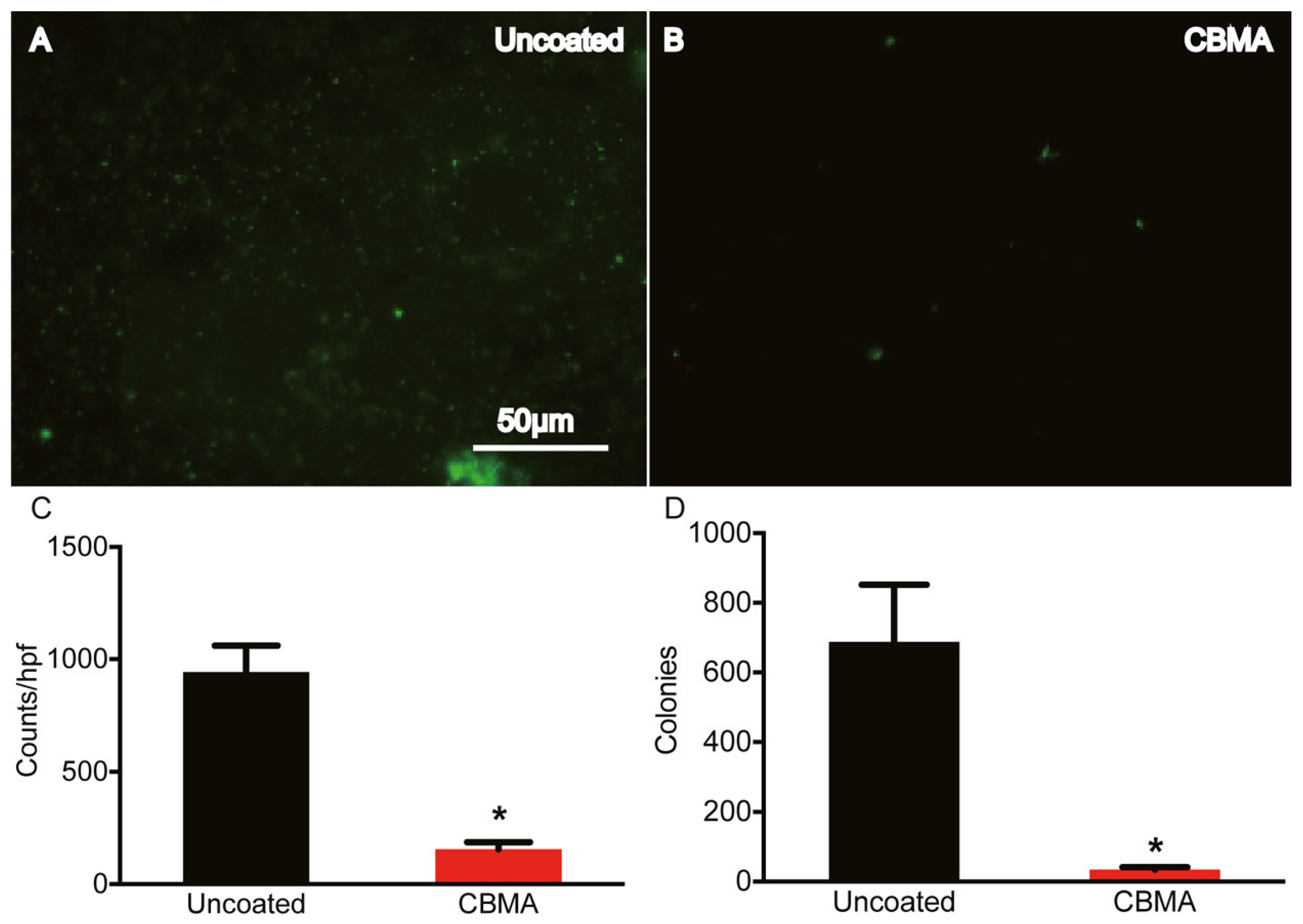 Molecules 30 02710 g005