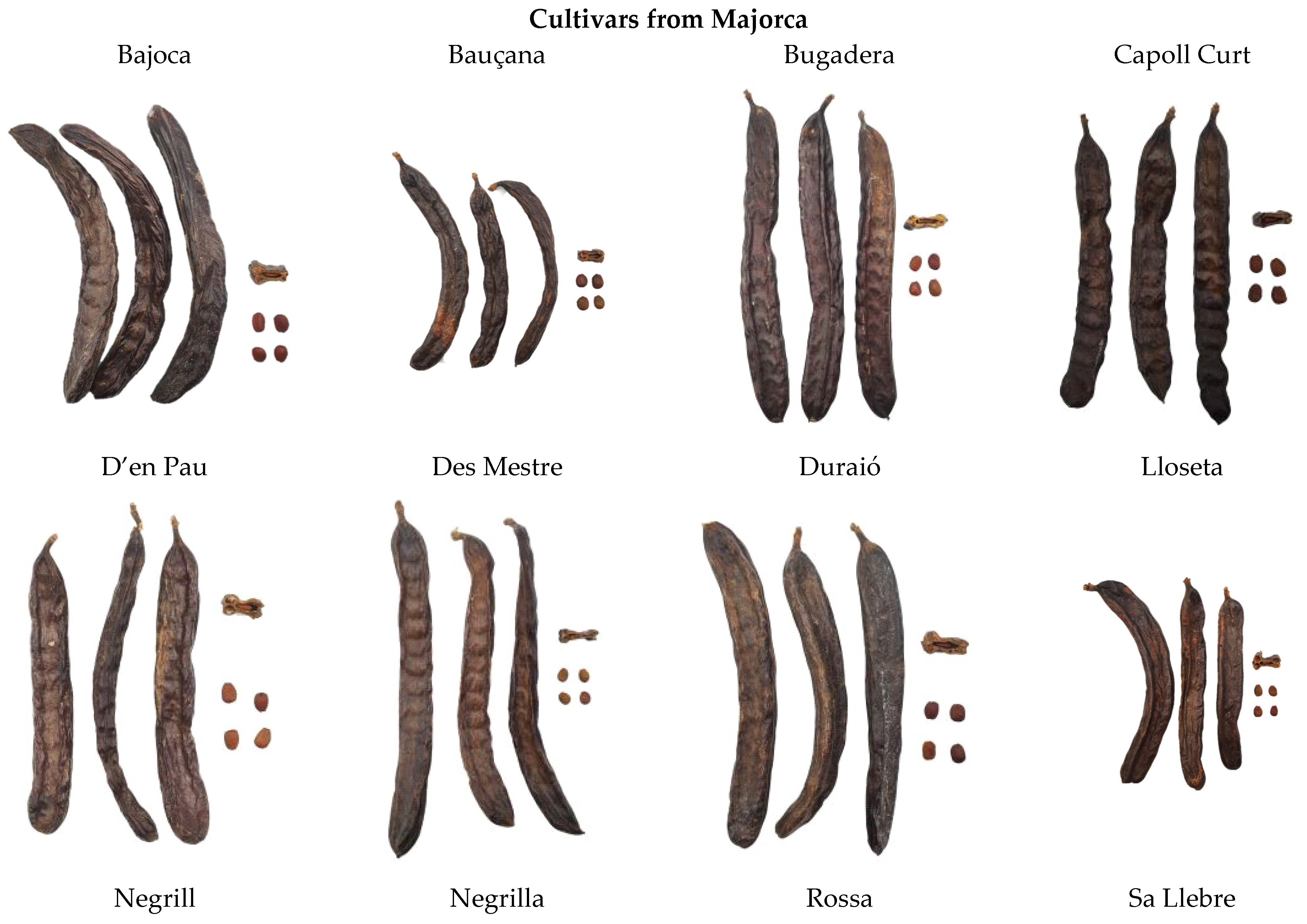 Molecules 30 02715 g013a