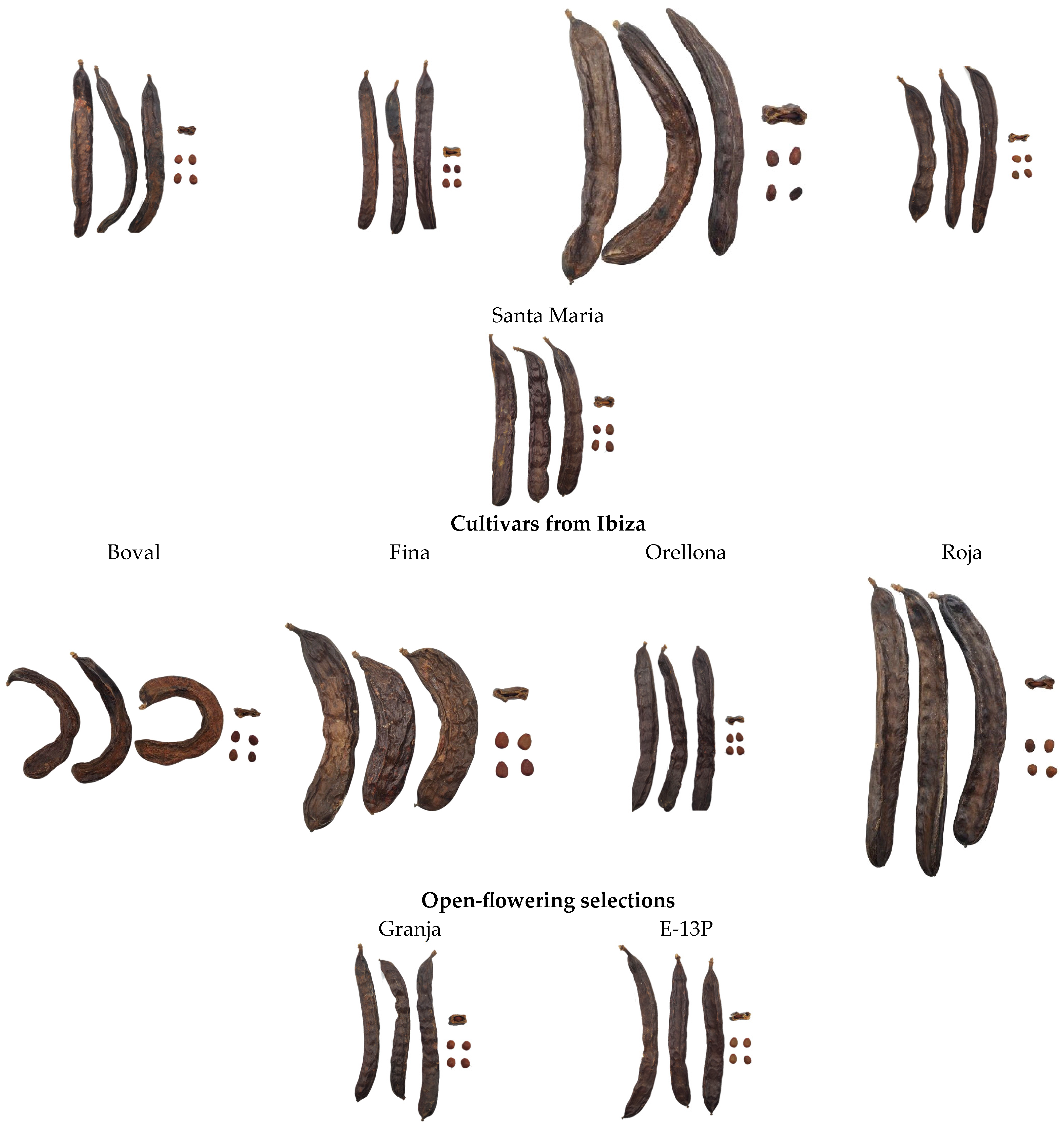 Molecules 30 02715 g013b
