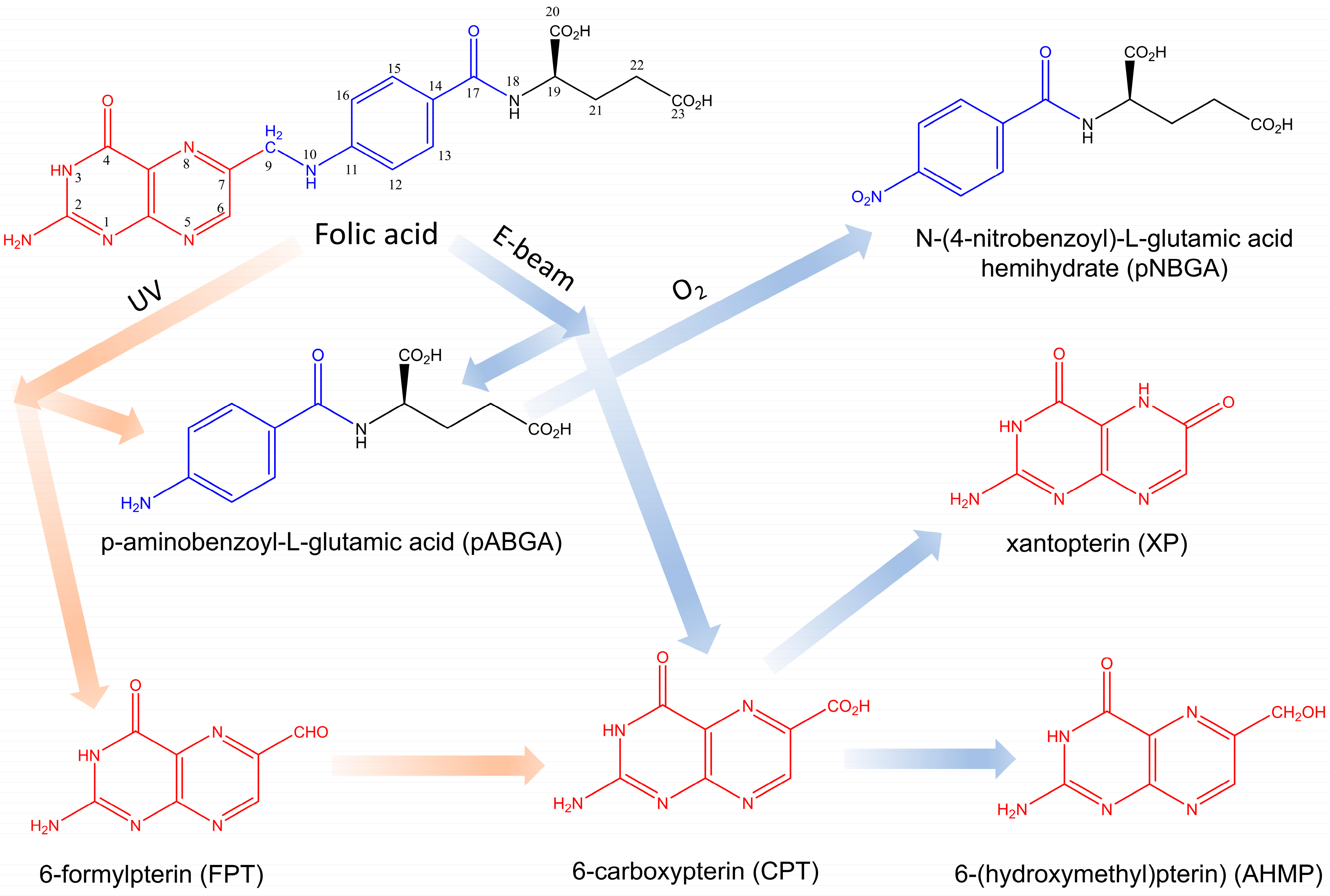Molecules 30 02718 g001