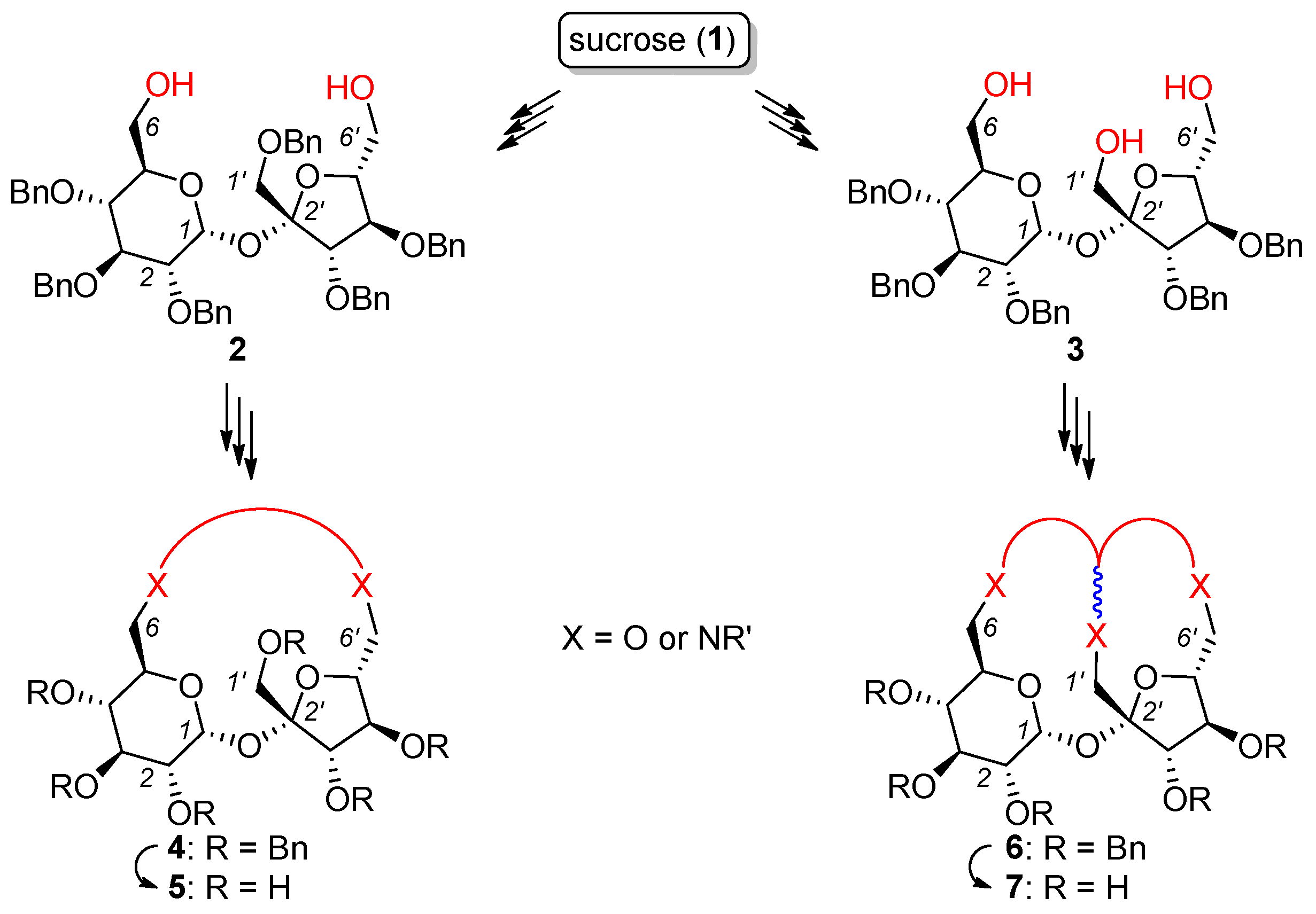 Molecules 30 02721 g003
