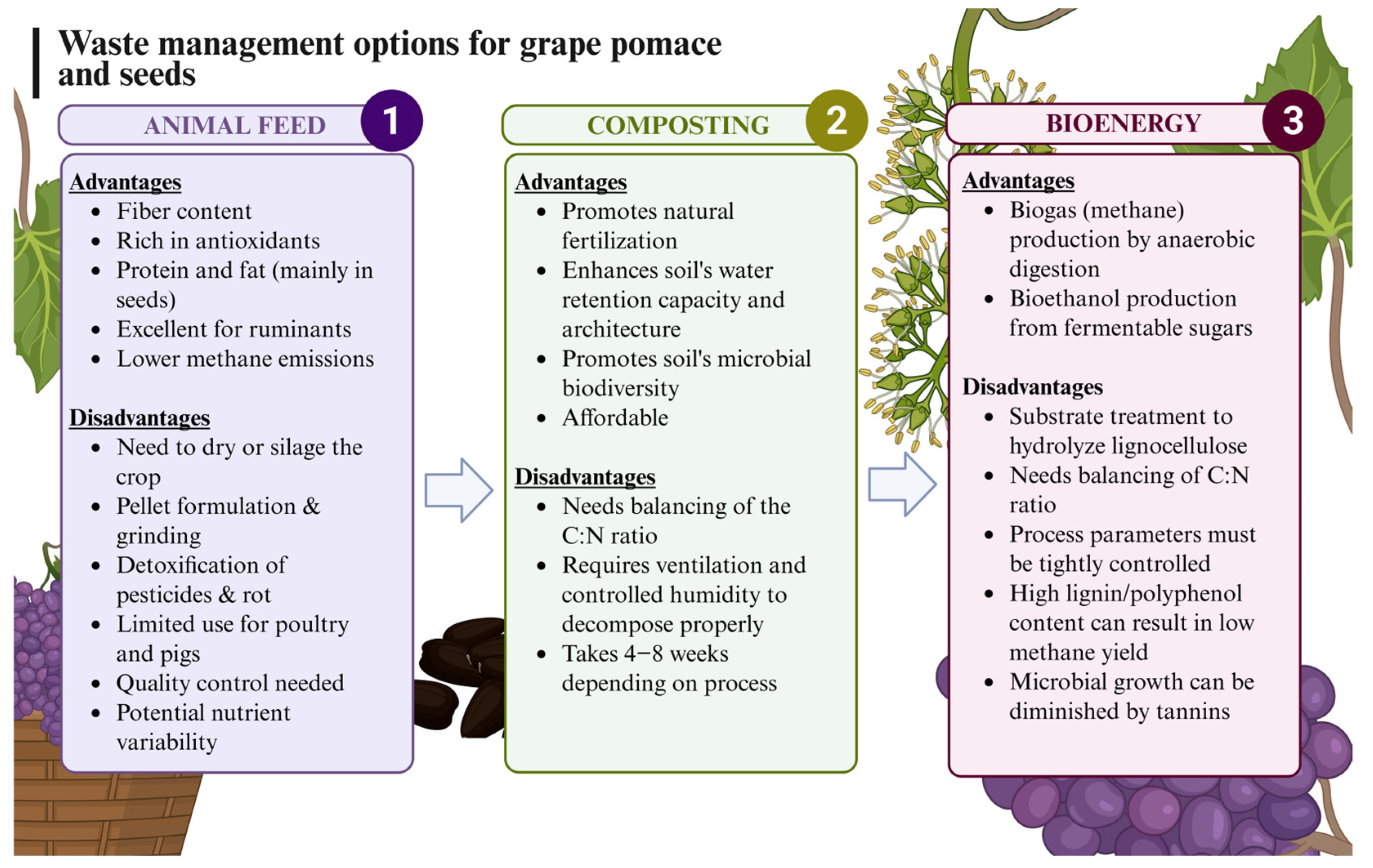 Molecules 30 02726 g001