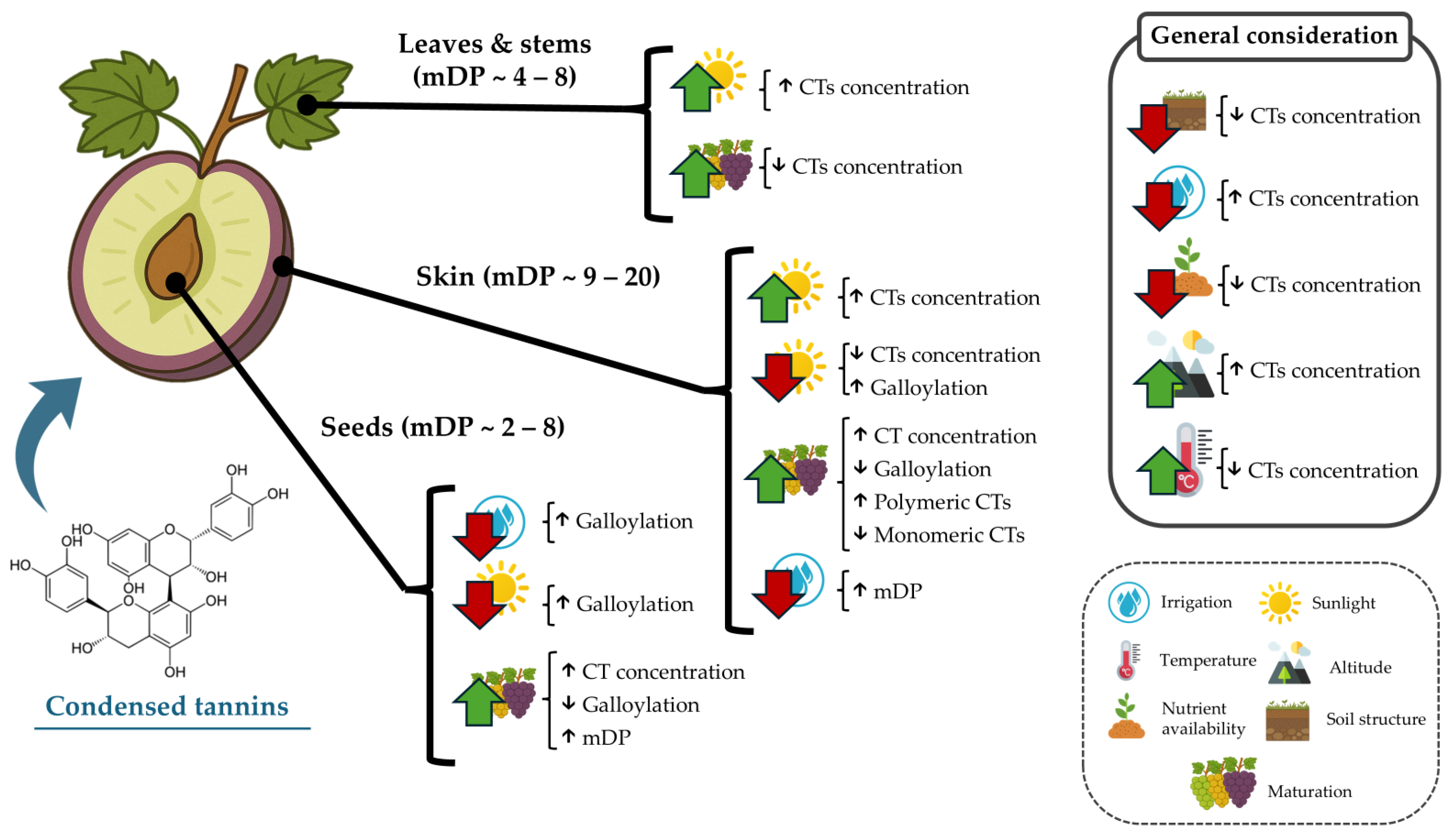 Molecules 30 02726 g003