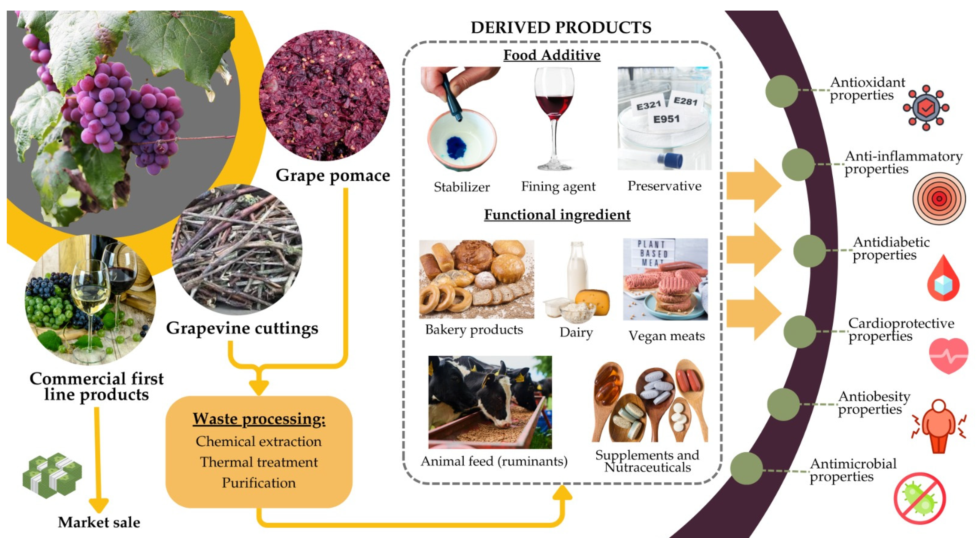 Molecules 30 02726 g004