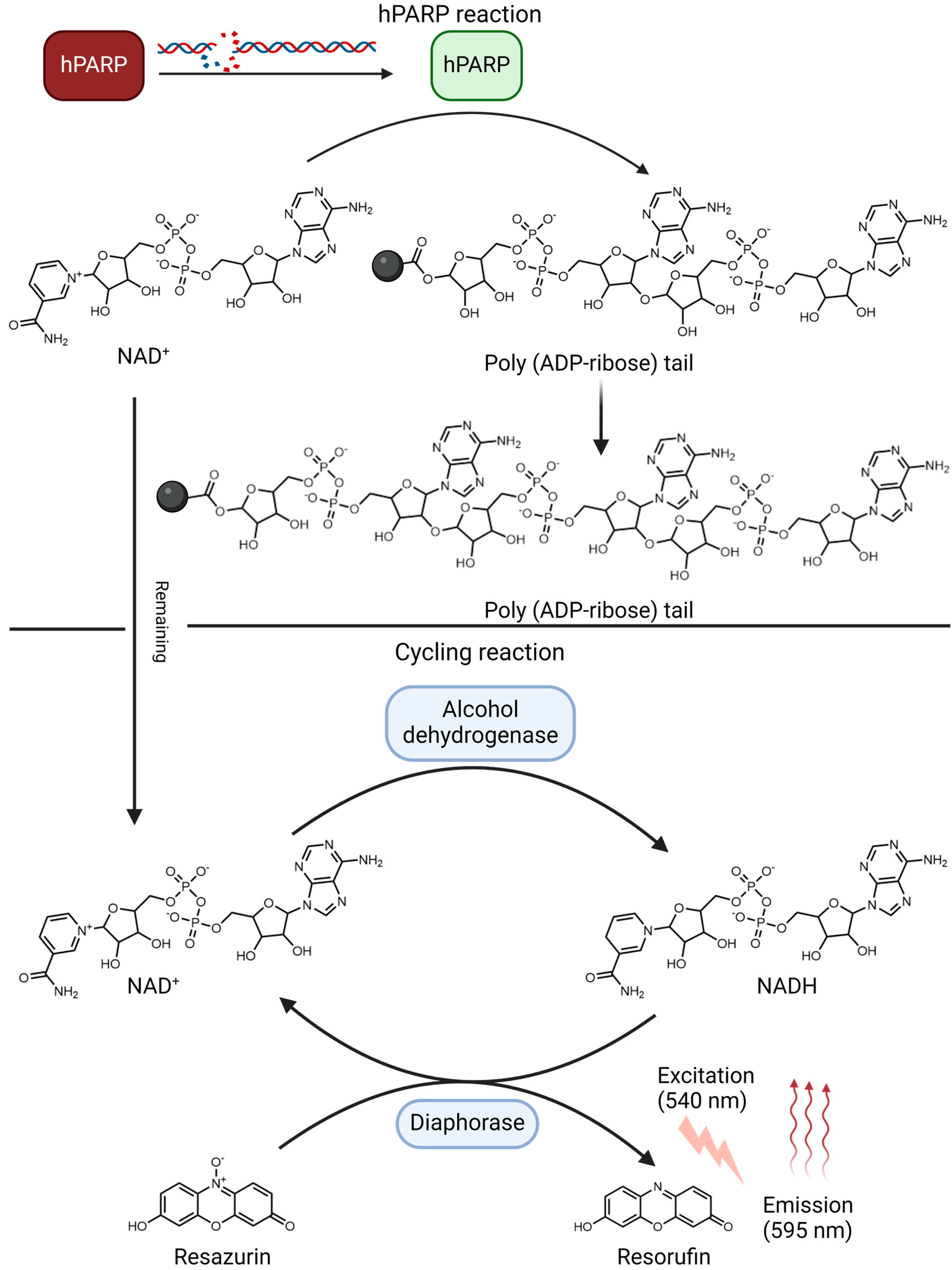 Molecules 30 02728 g009