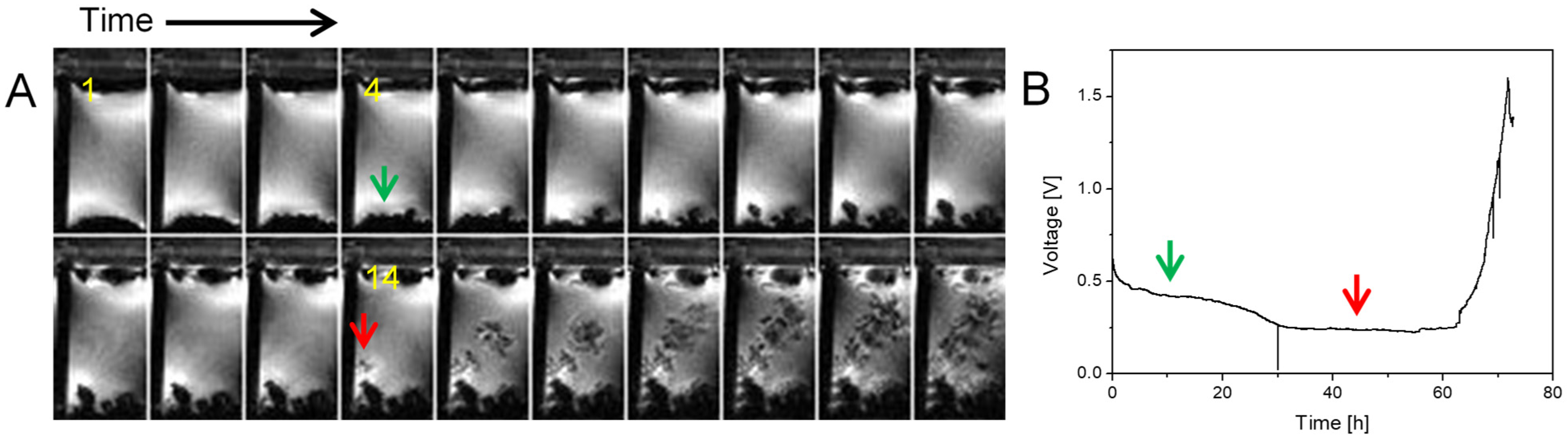 Molecules 30 02733 g001