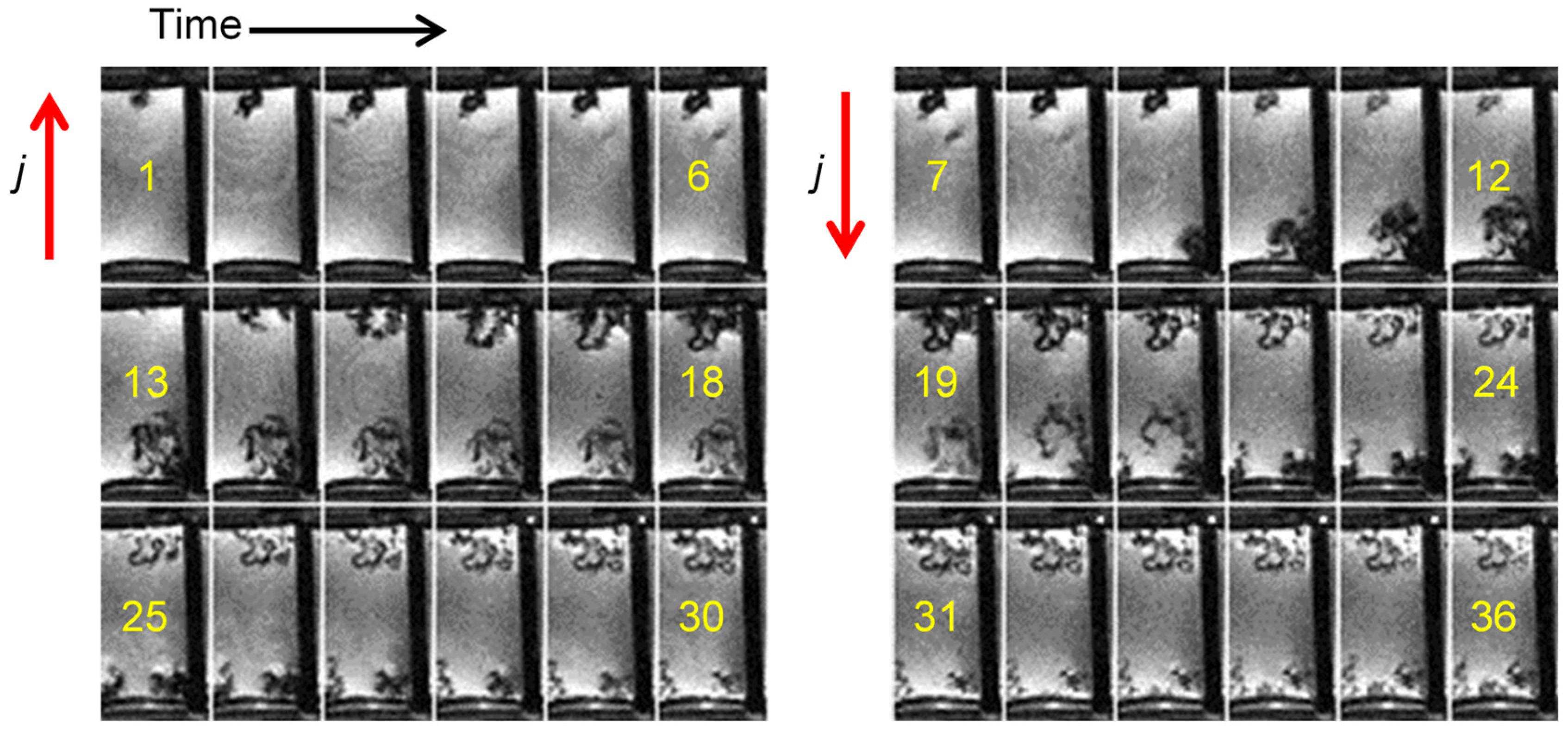 Molecules 30 02733 g004
