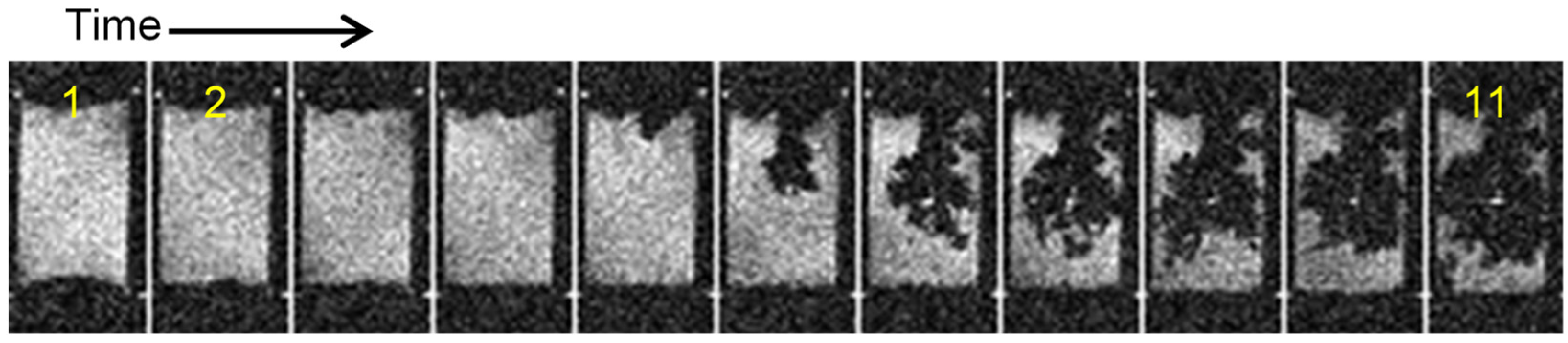 Molecules 30 02733 g005