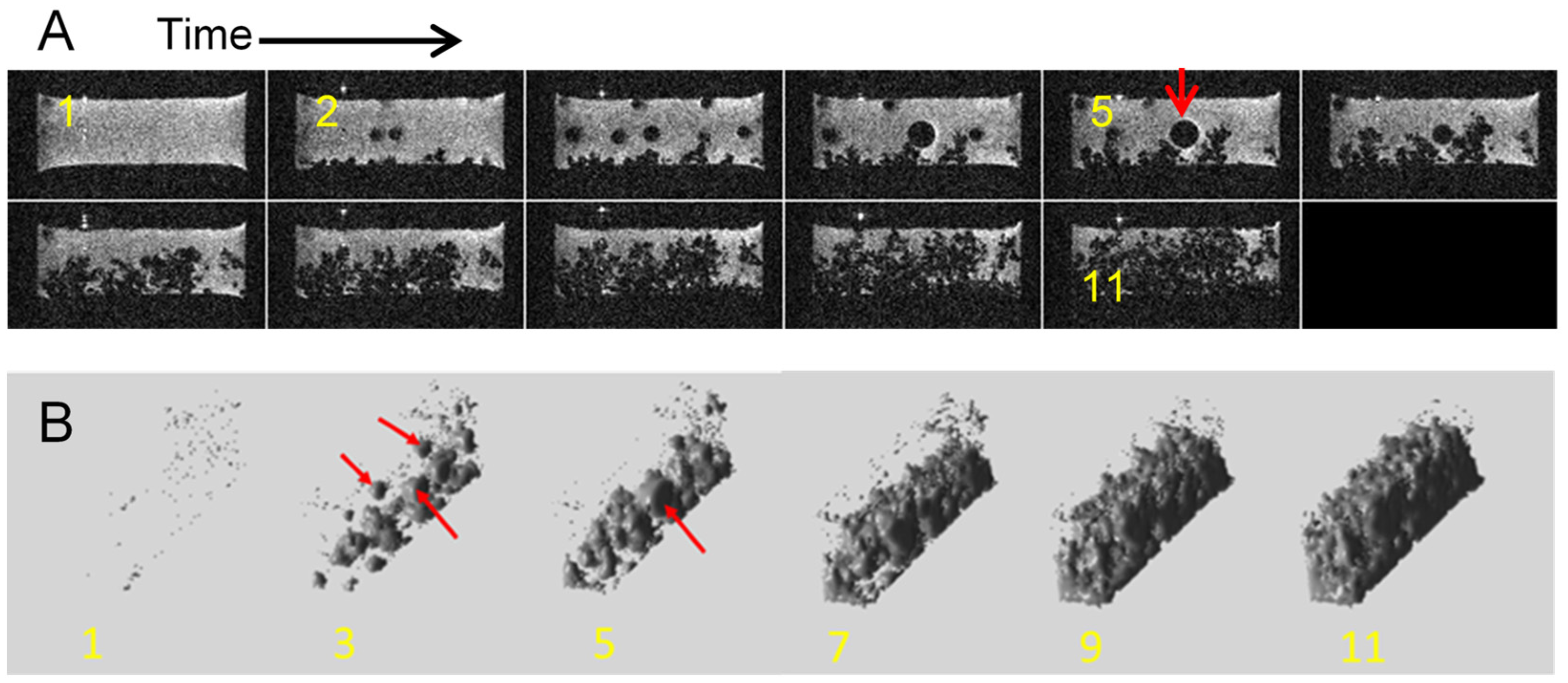 Molecules 30 02733 g007
