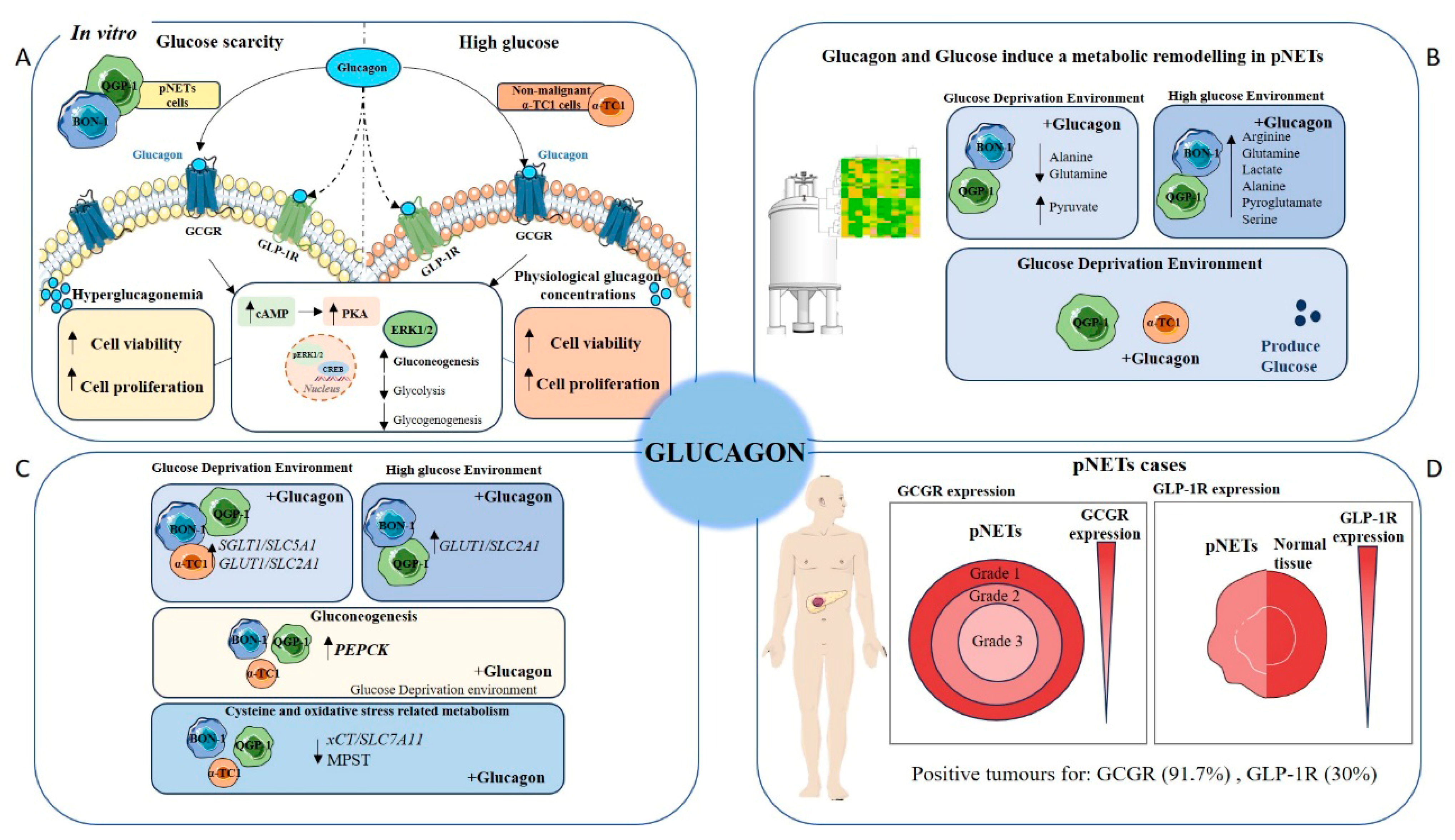 Molecules 30 02736 g006