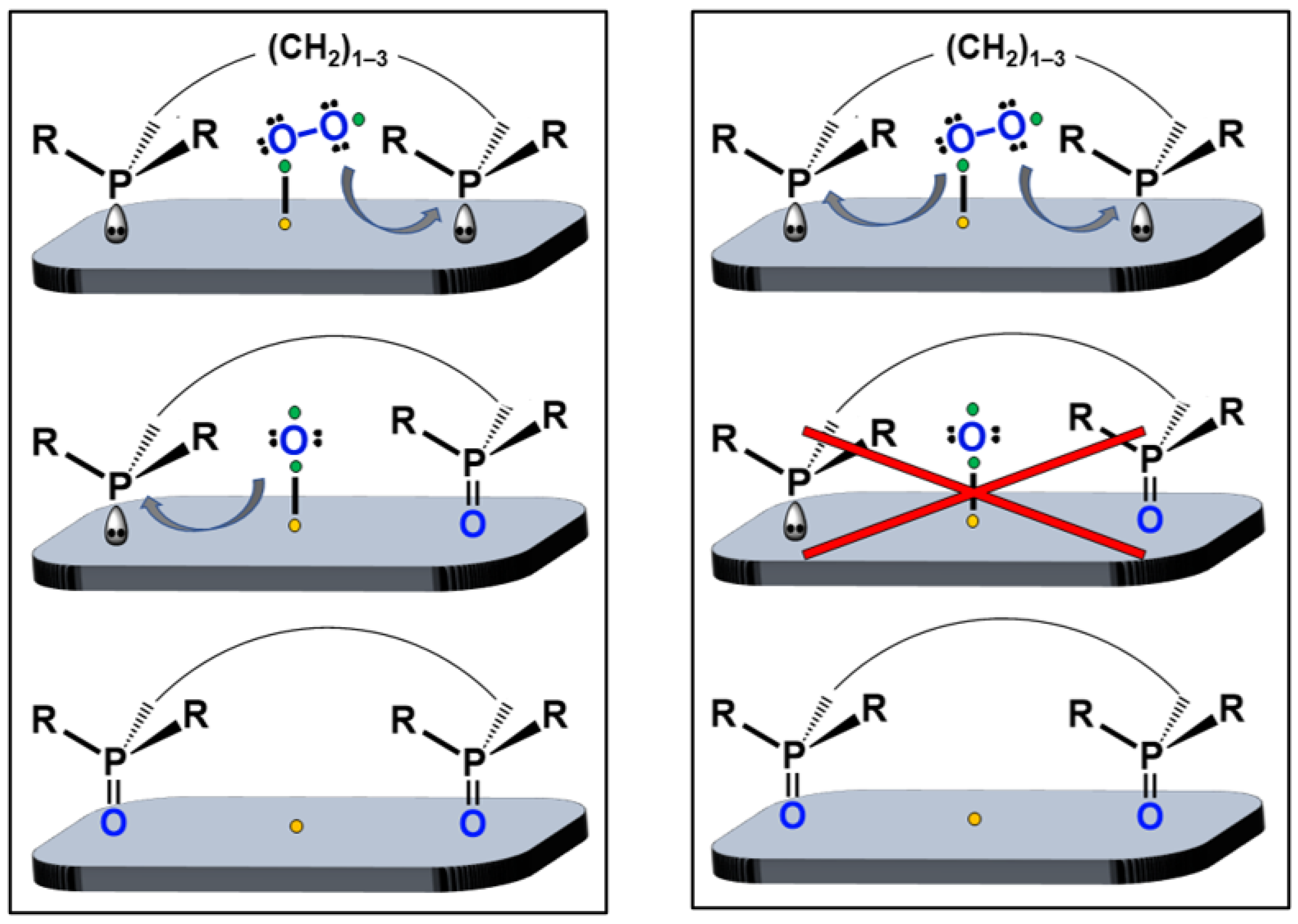 Molecules 30 02737 g014