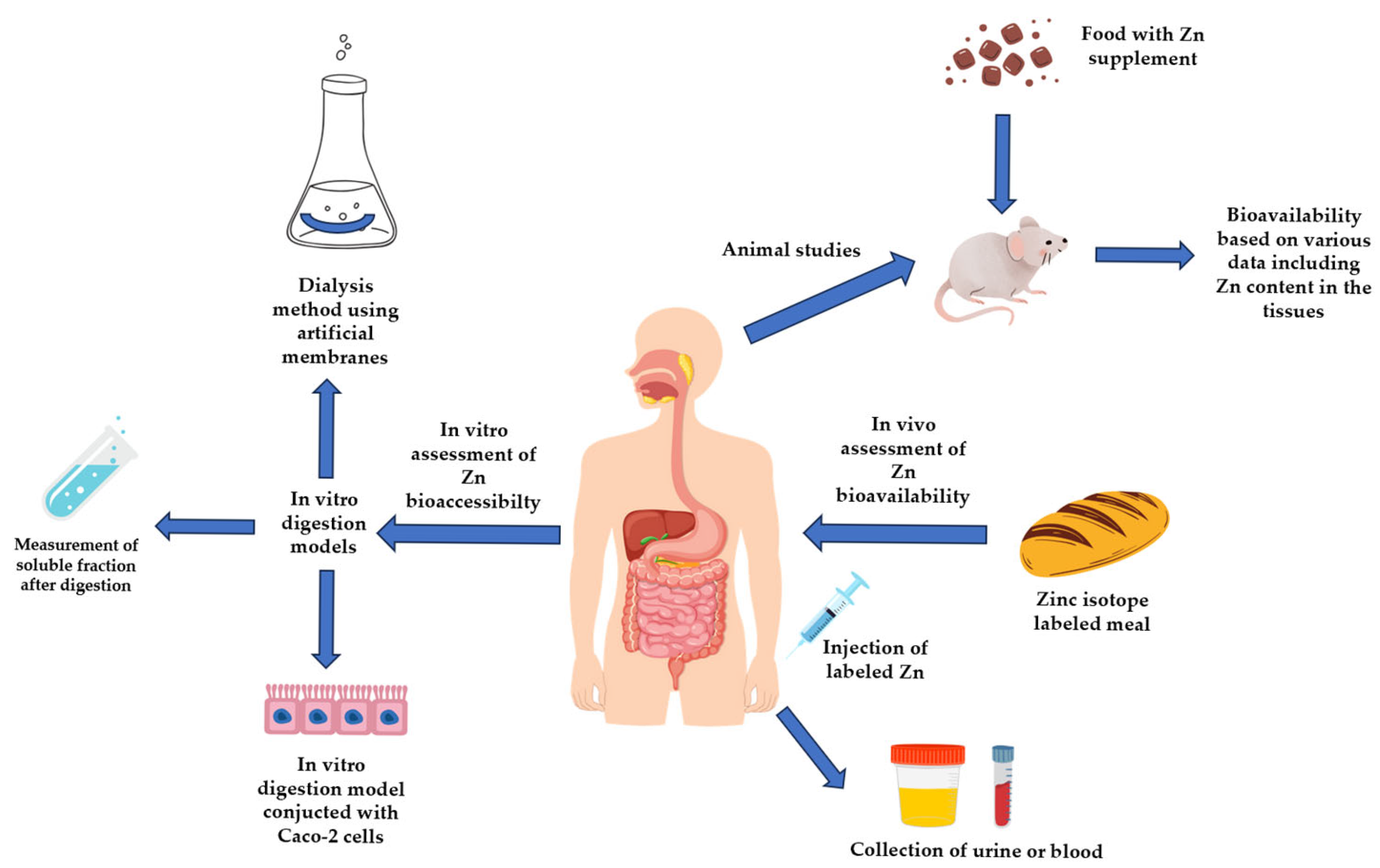 Molecules 30 02742 g003