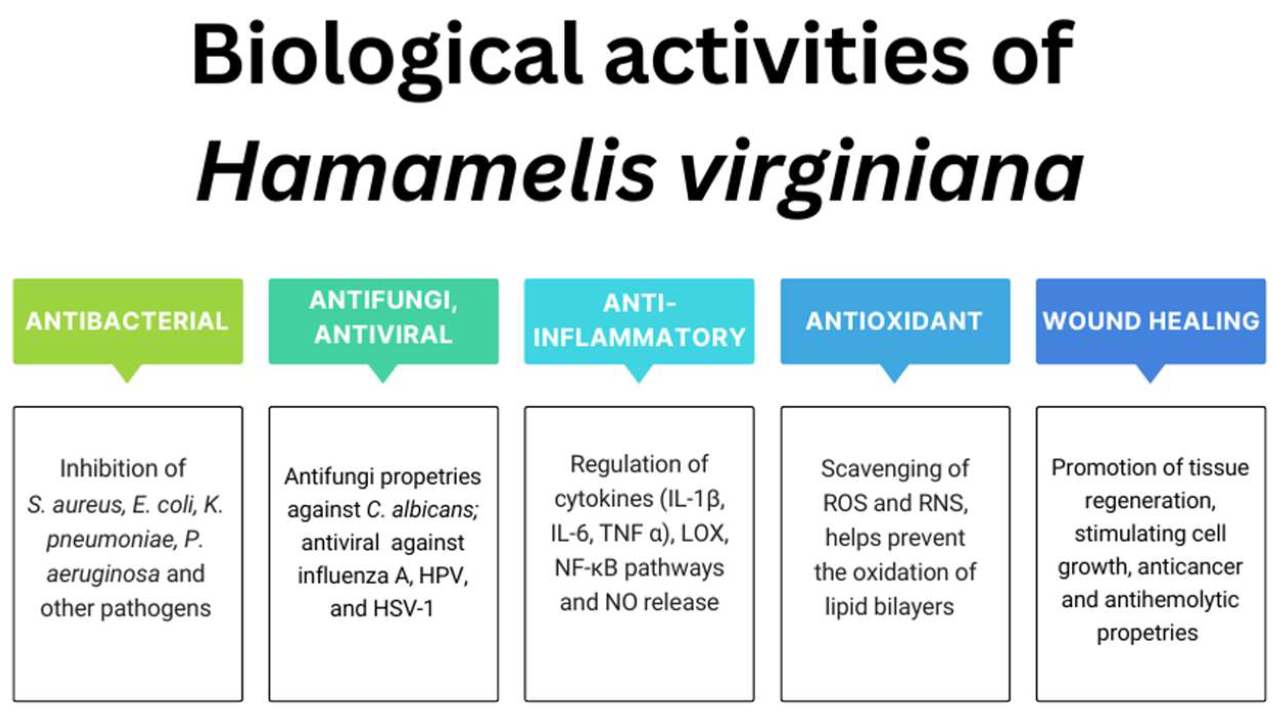 Molecules 30 02744 g003 Molecules 30 02744 g003