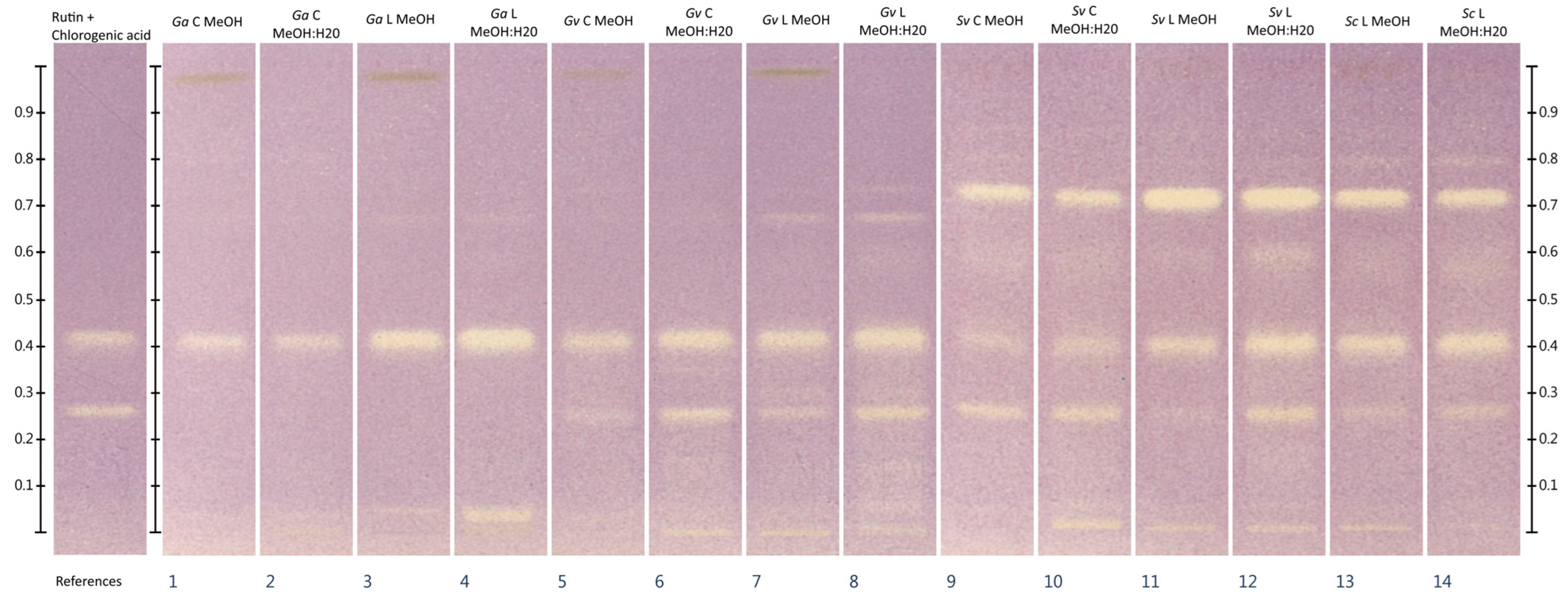 Molecules 30 02746 g001 Molecules 30 02746 g001