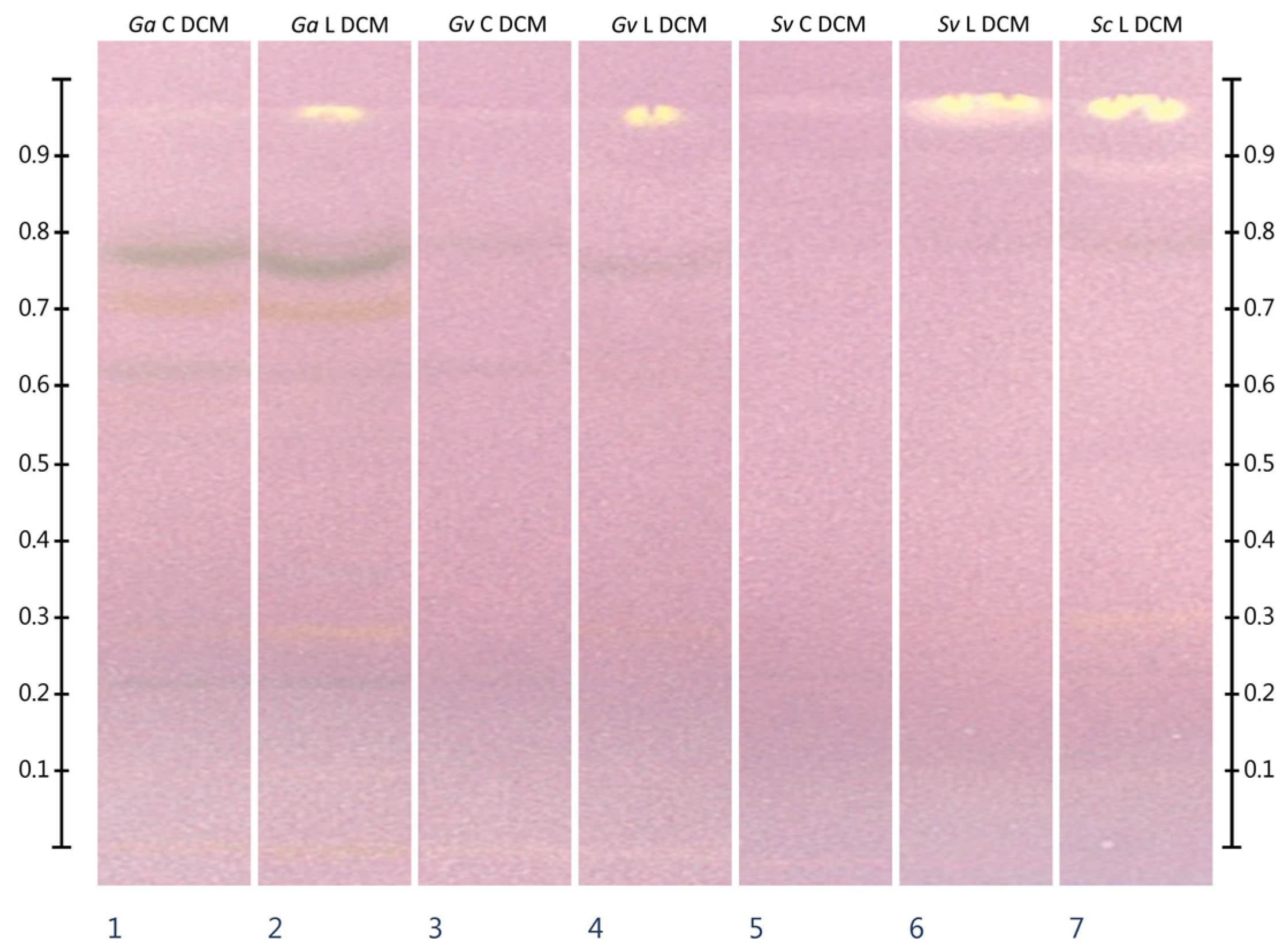 Molecules 30 02746 g002 Molecules 30 02746 g002