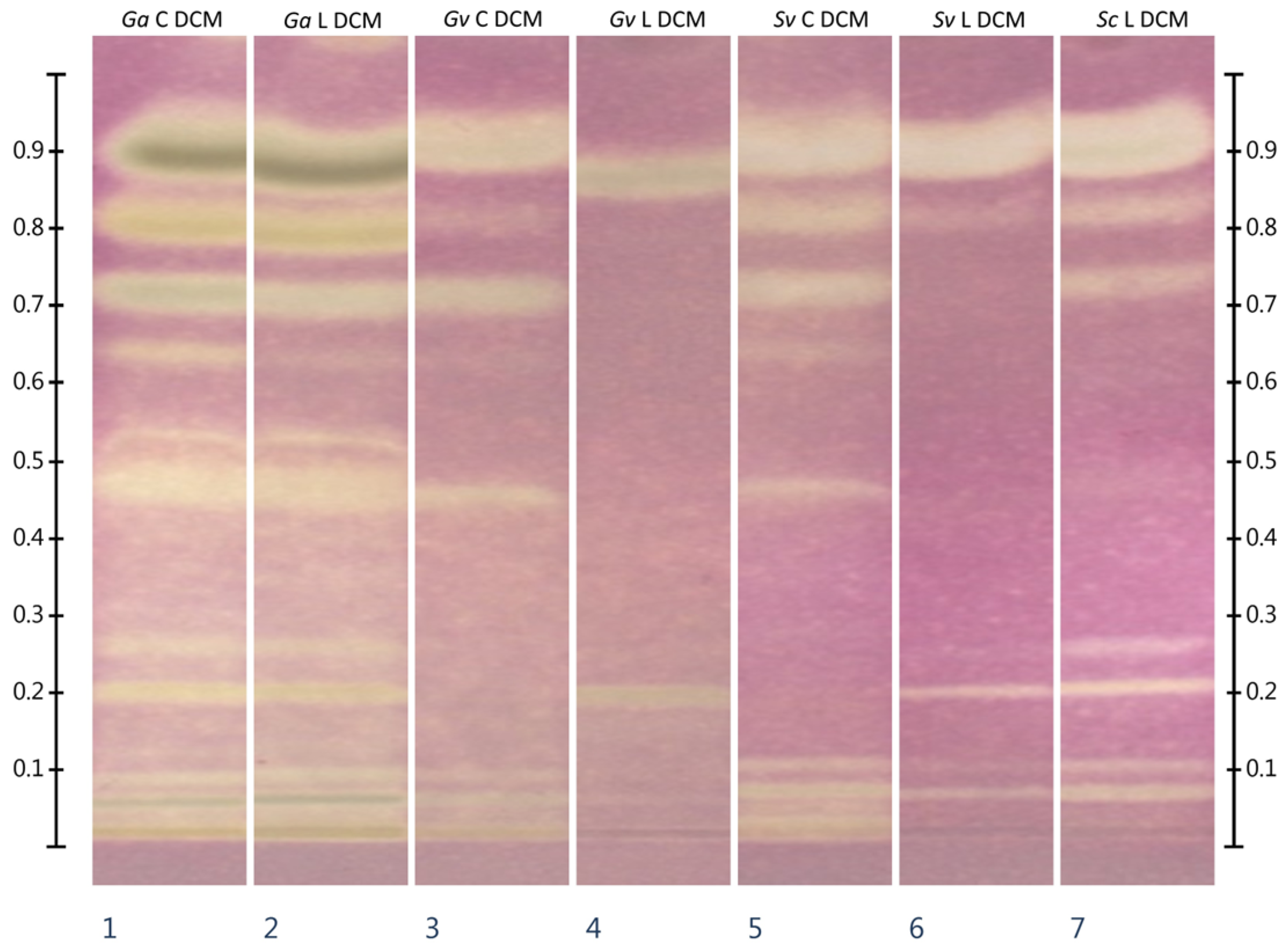 Molecules 30 02746 g004 Molecules 30 02746 g004