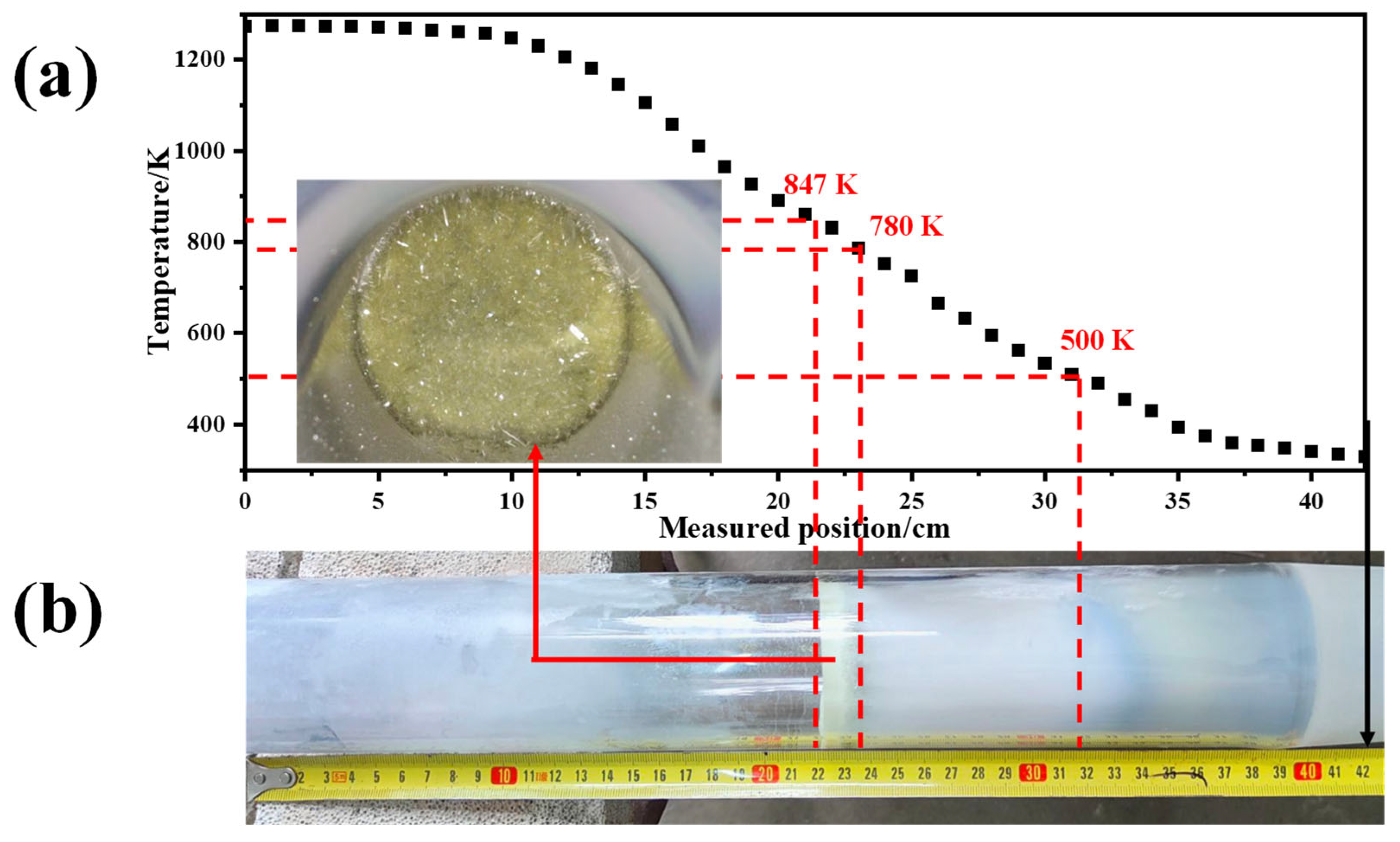 Molecules 30 02751 g005