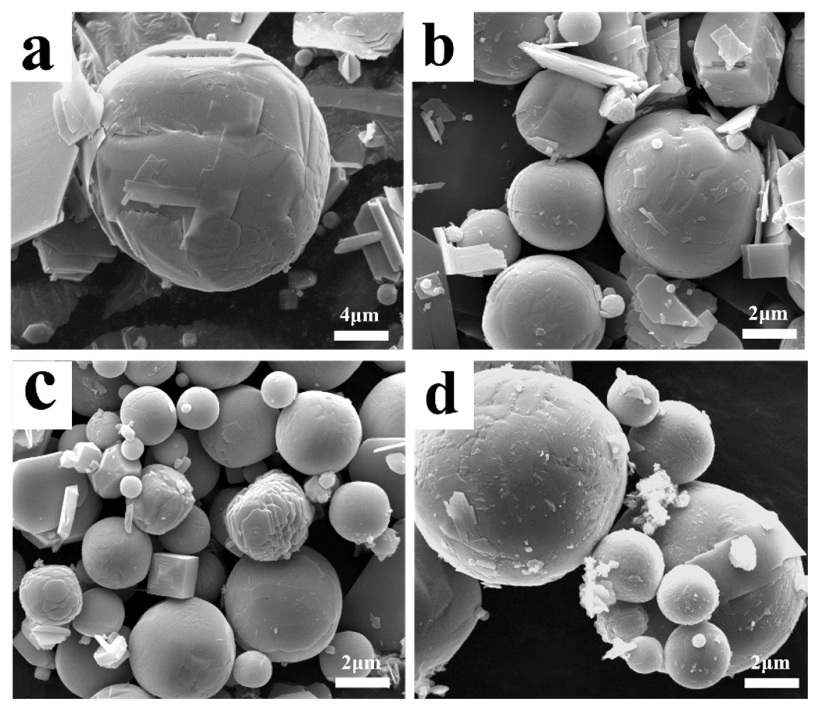 Molecules 30 02751 g006