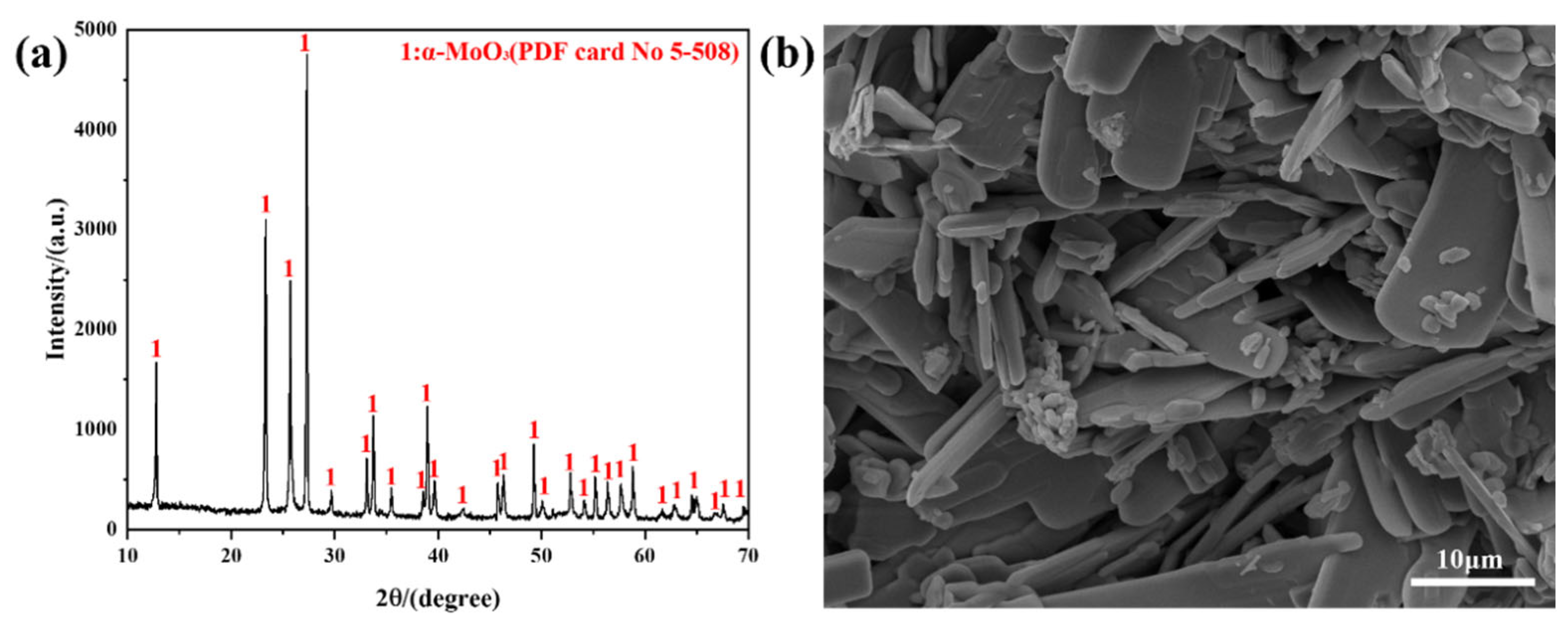 Molecules 30 02751 g008