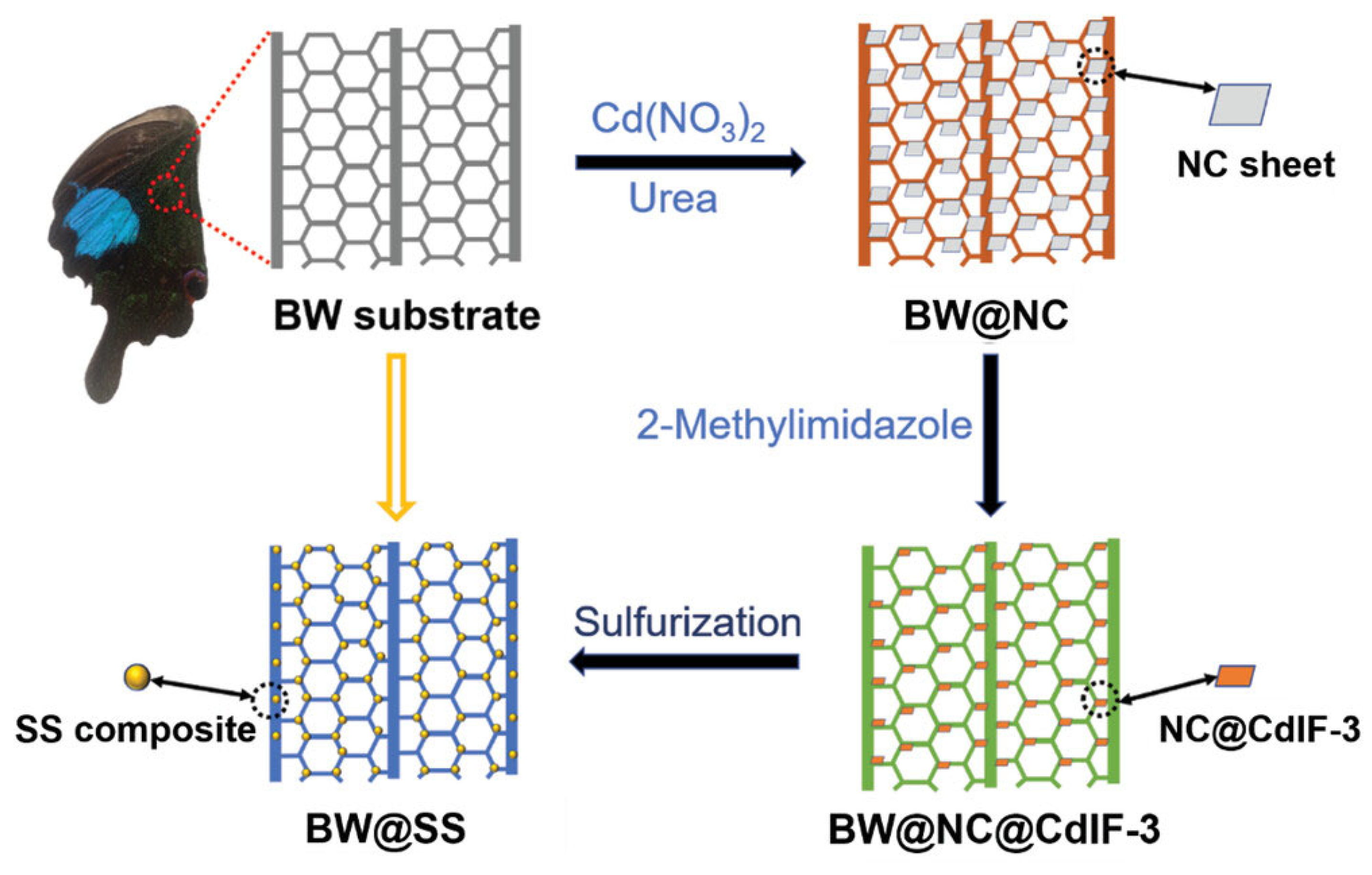 Molecules 30 02755 g002