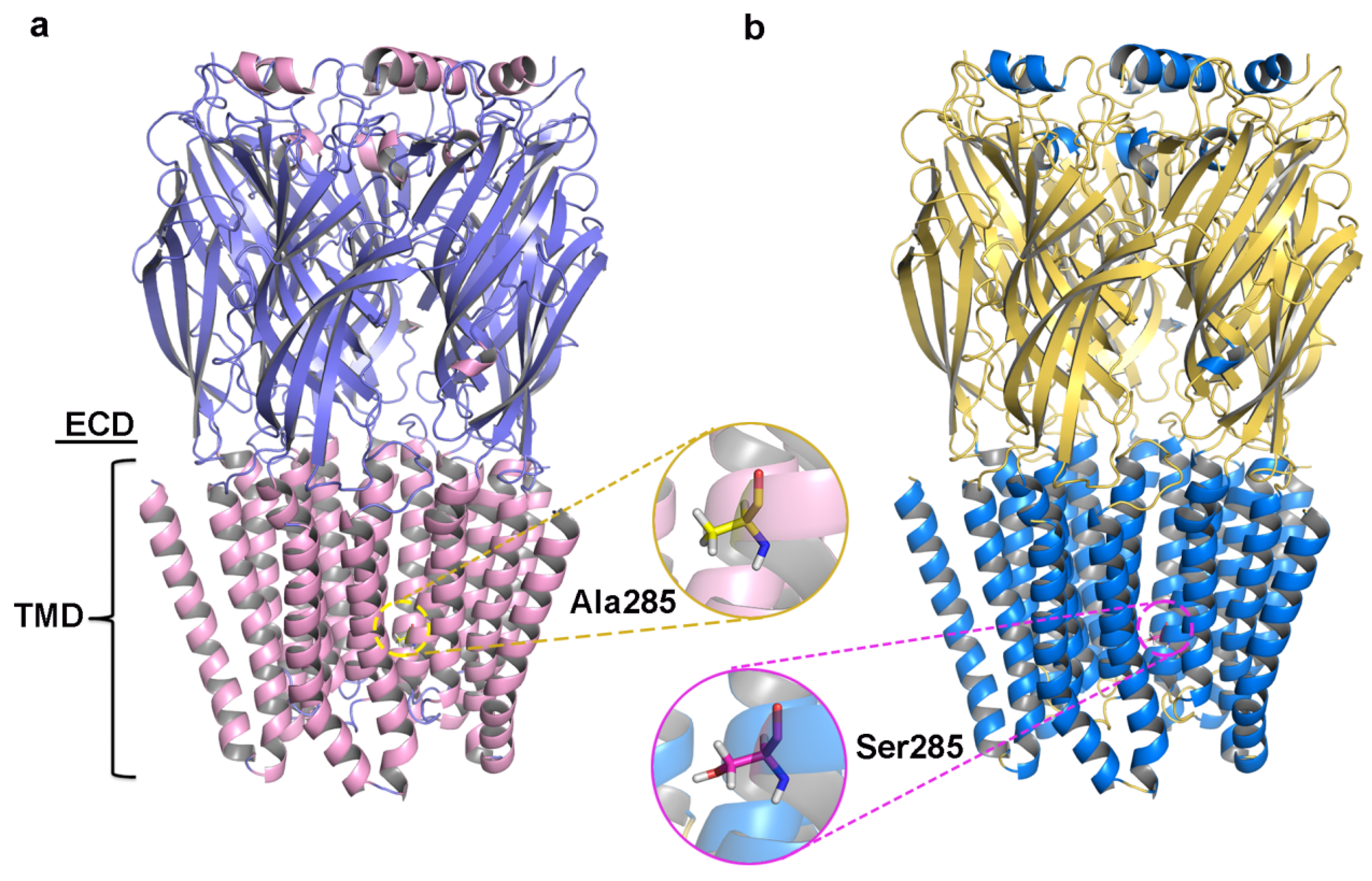 Molecules 30 02756 g003