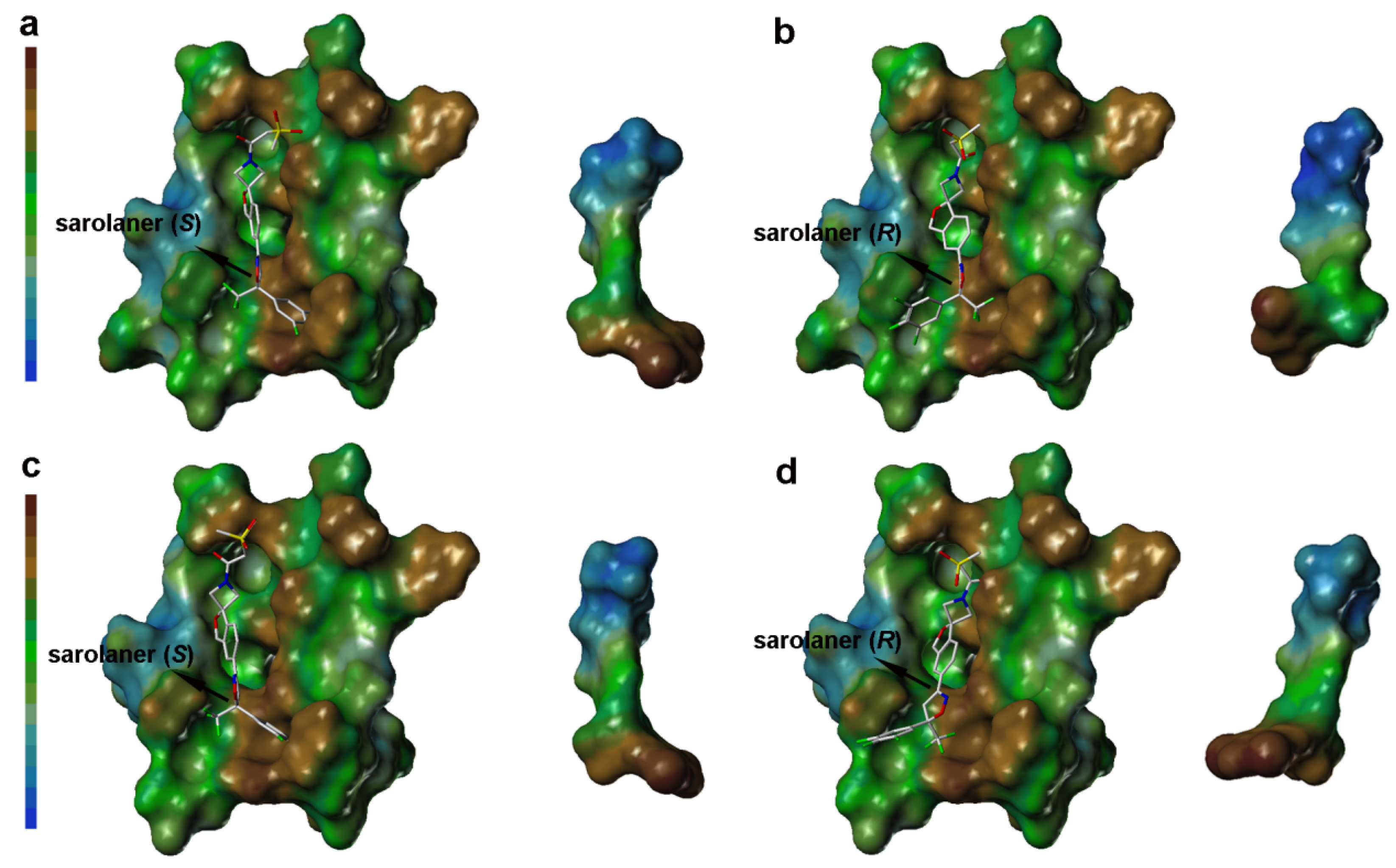 Molecules 30 02756 g006