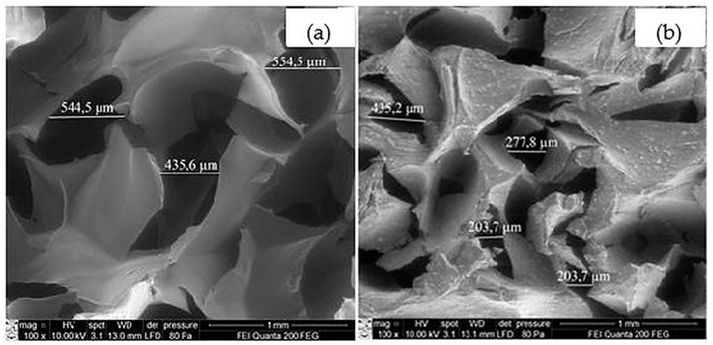 Molecules 30 02760 g001