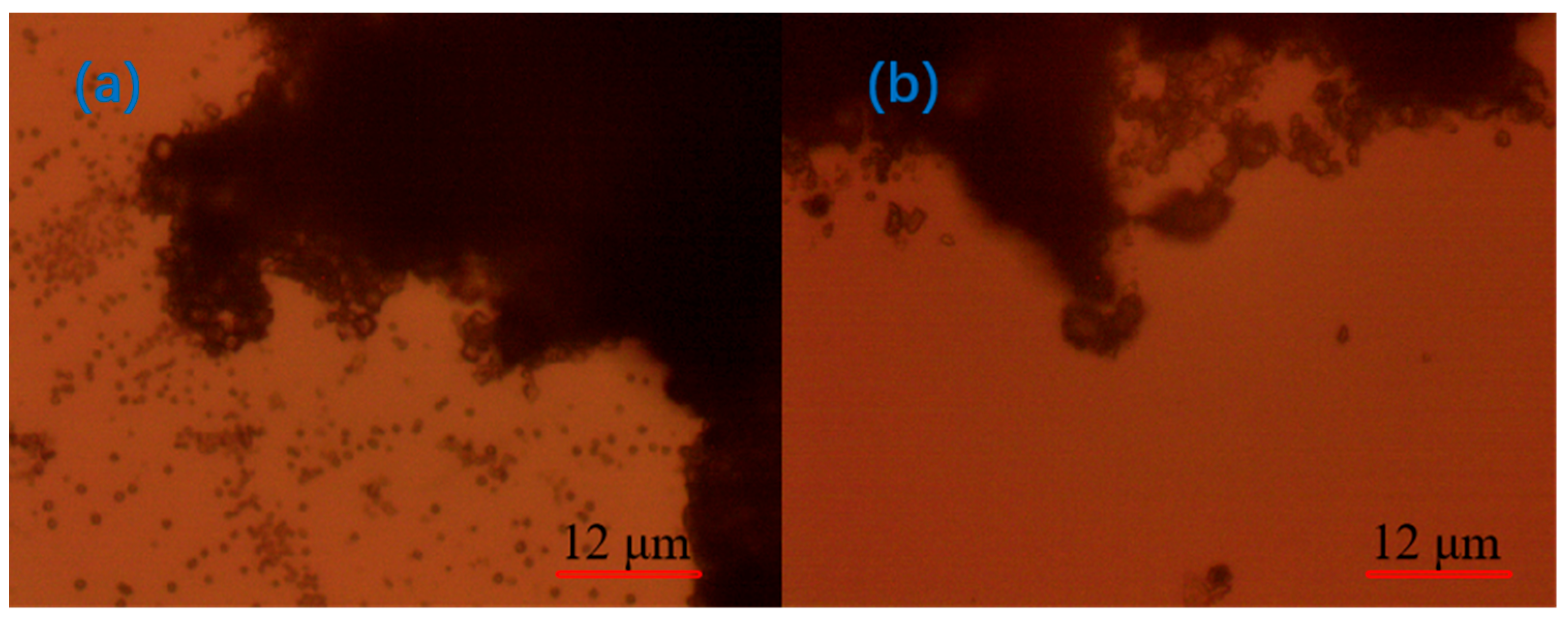 Molecules 30 02761 g016