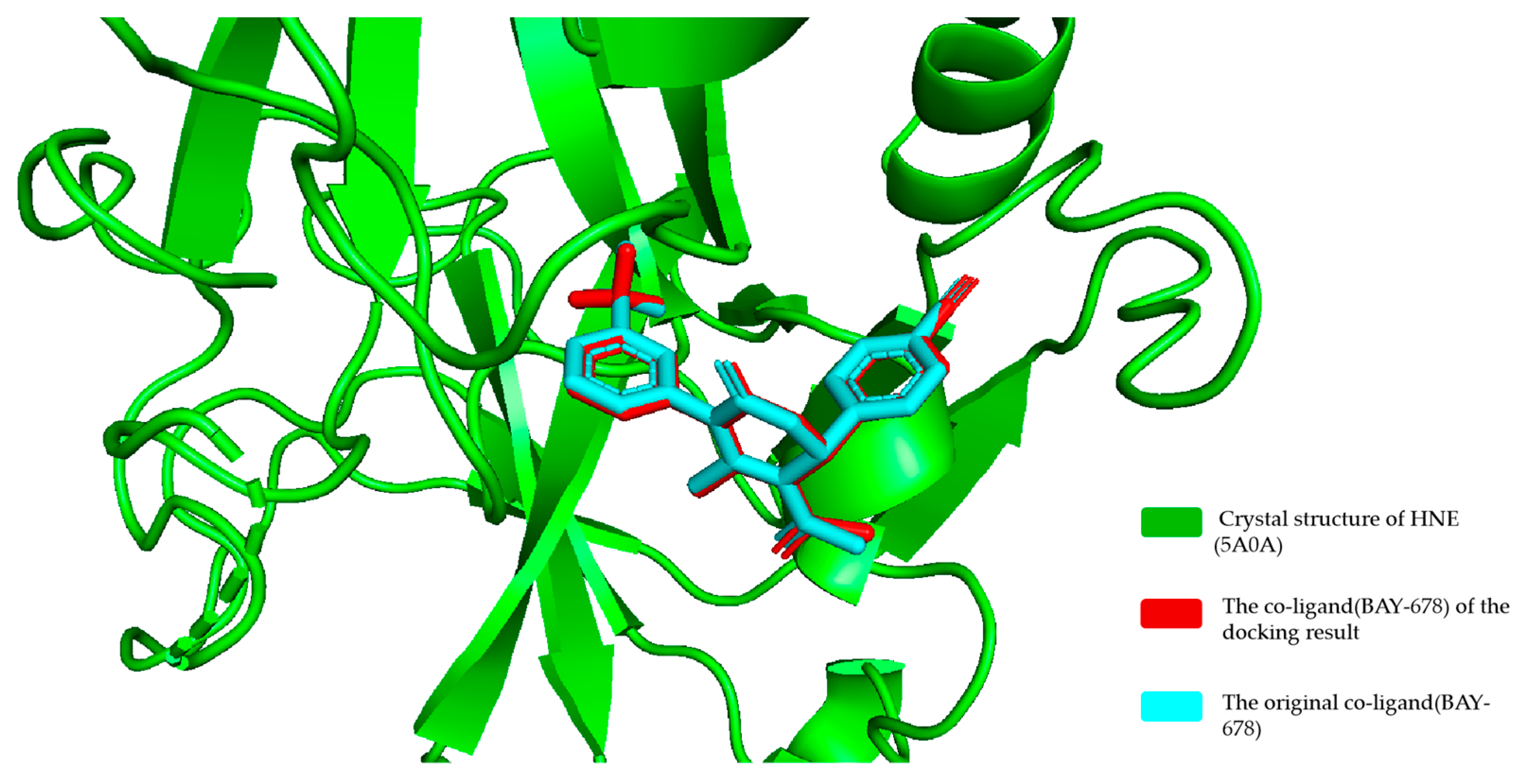 Molecules 30 02764 g004
