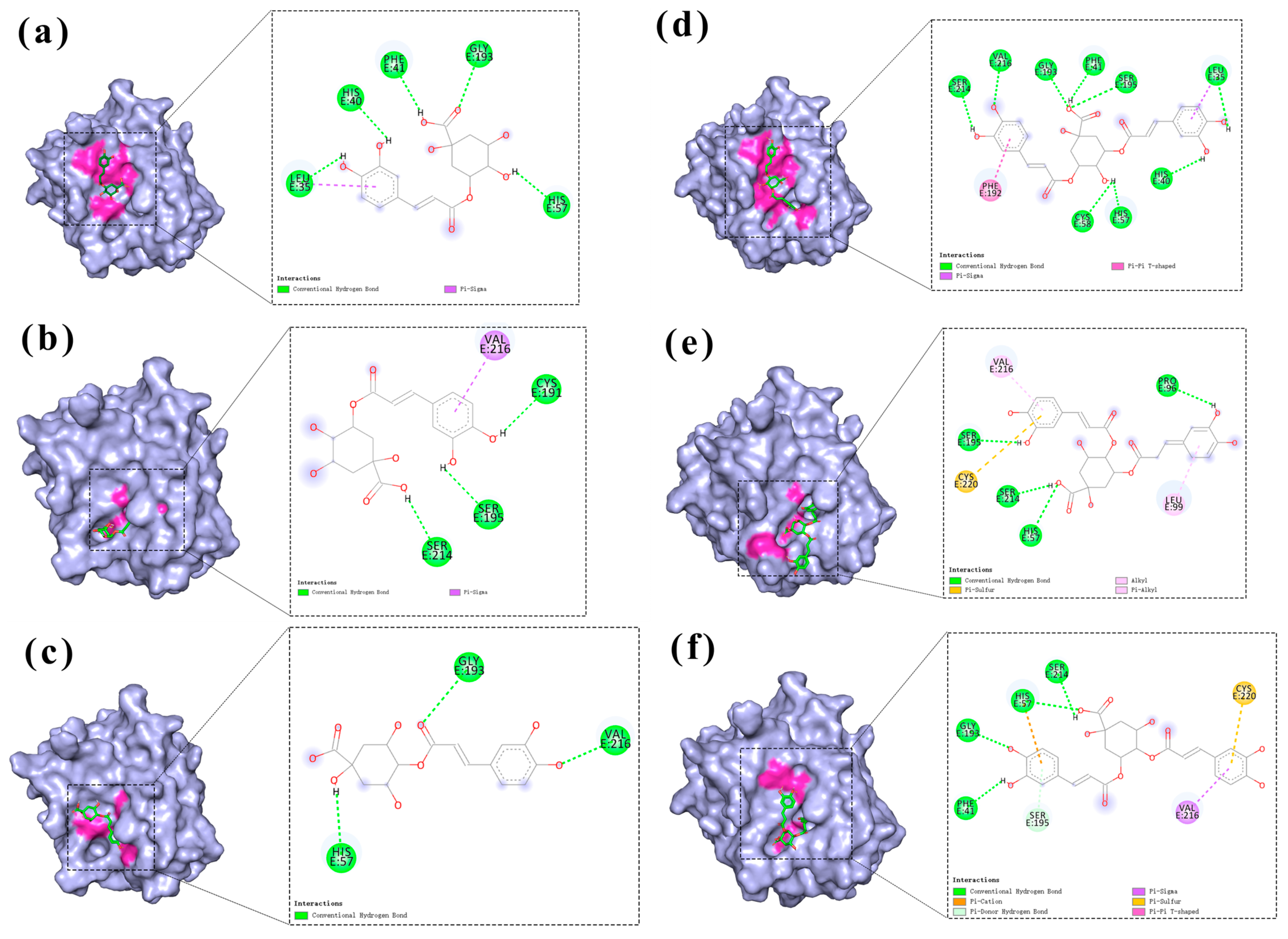 Molecules 30 02764 g005