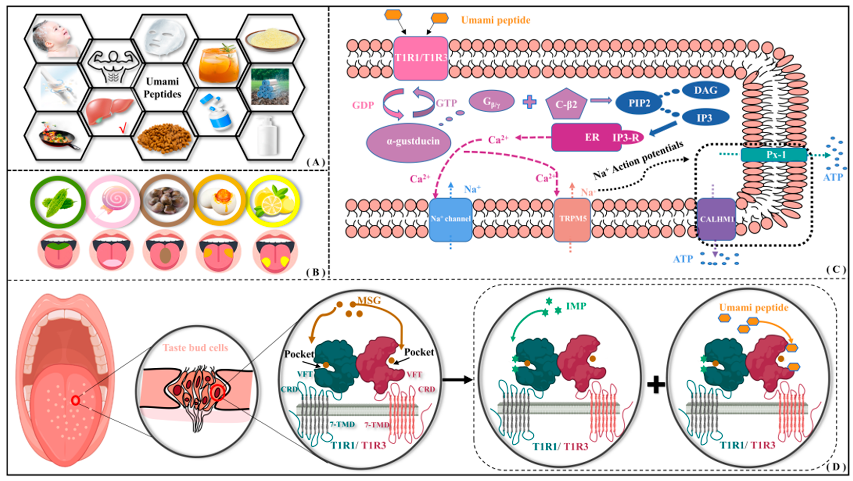 Molecules 30 02774 g001 Molecules 30 02774 g001