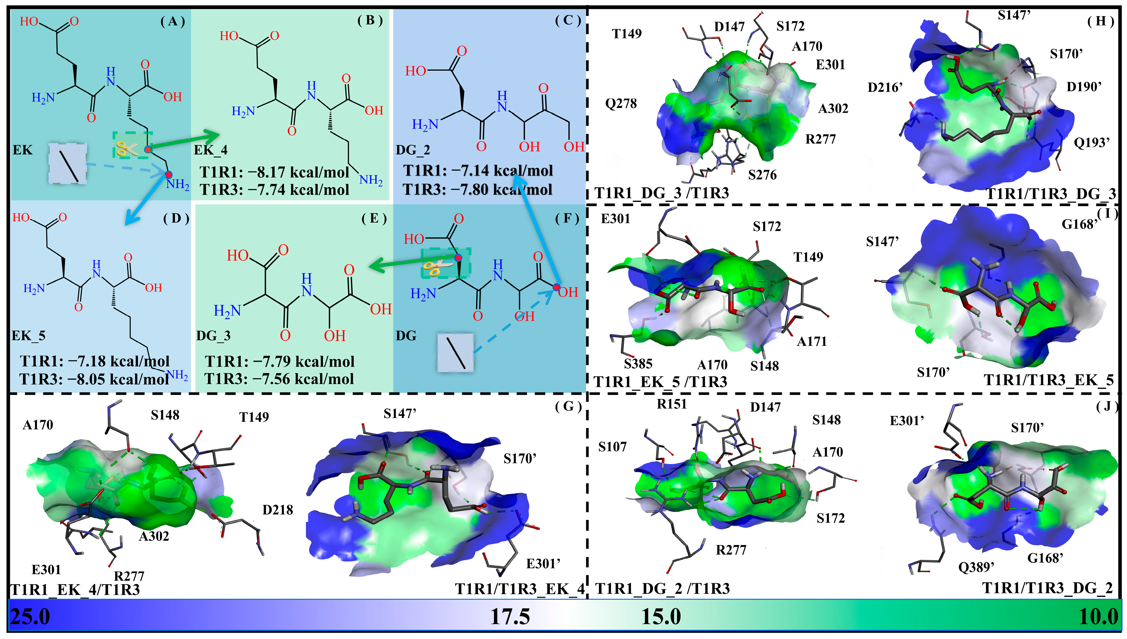Molecules 30 02774 g011 Molecules 30 02774 g011
