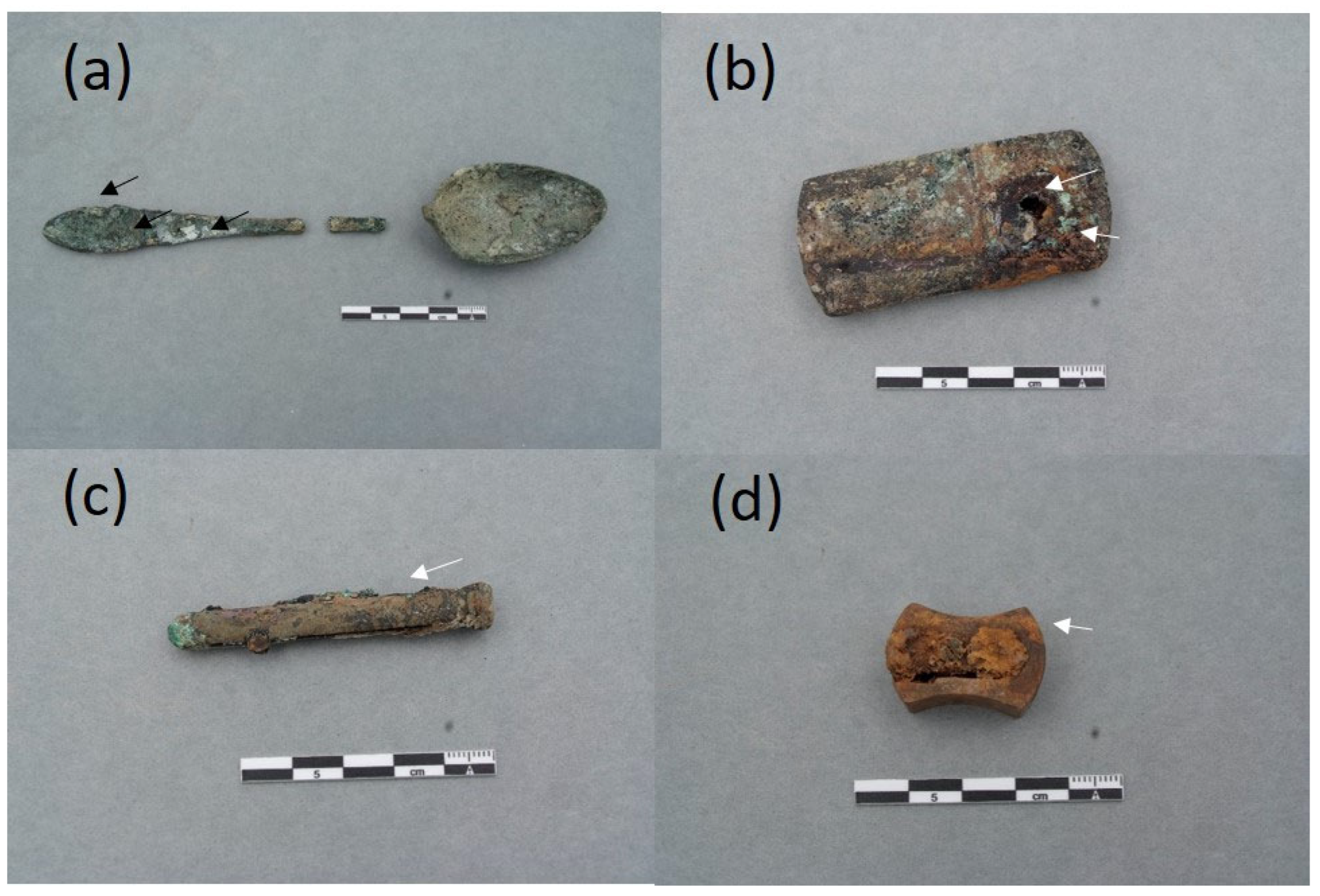 Molecules 30 02783 g004