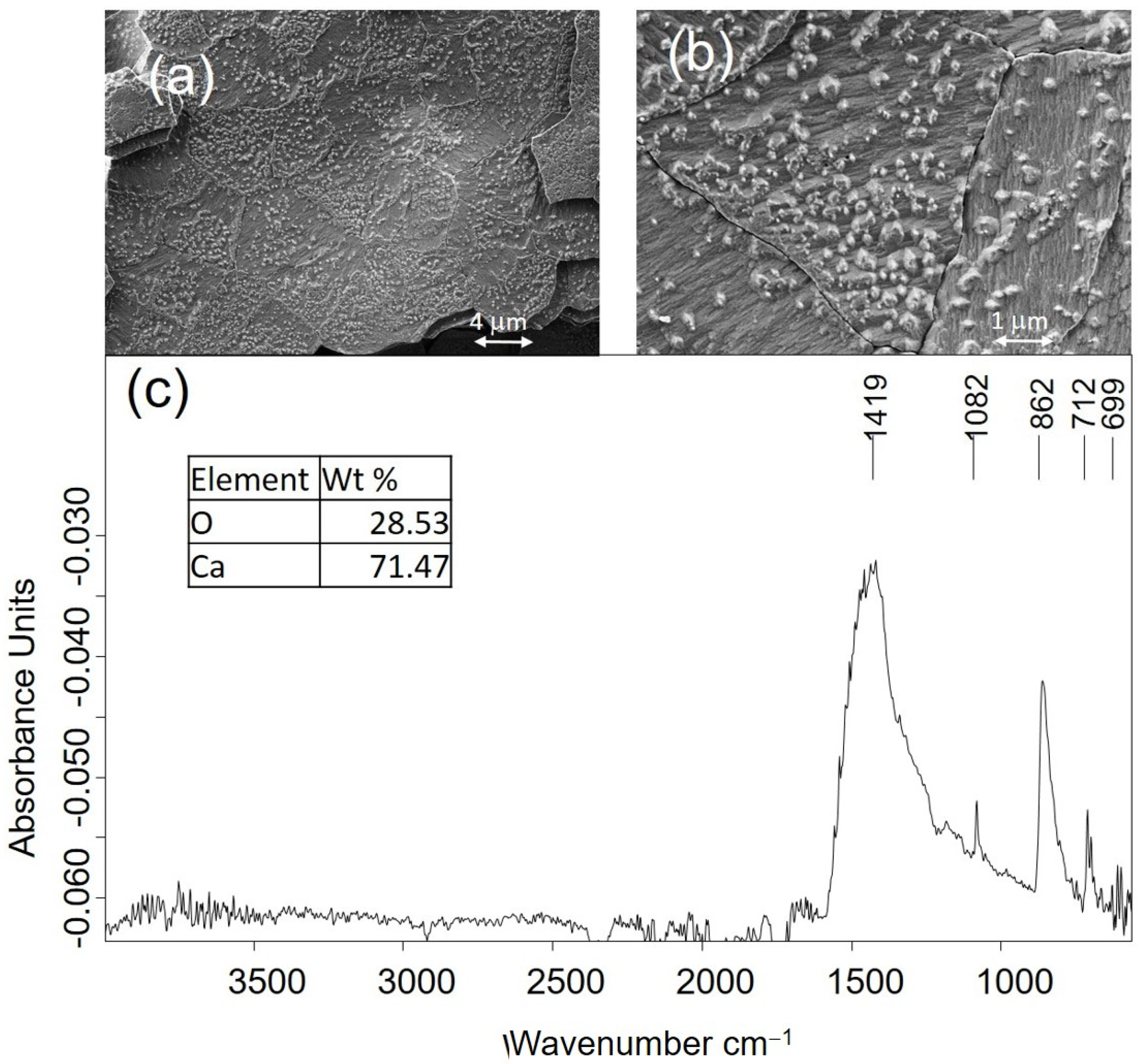 Molecules 30 02783 g008