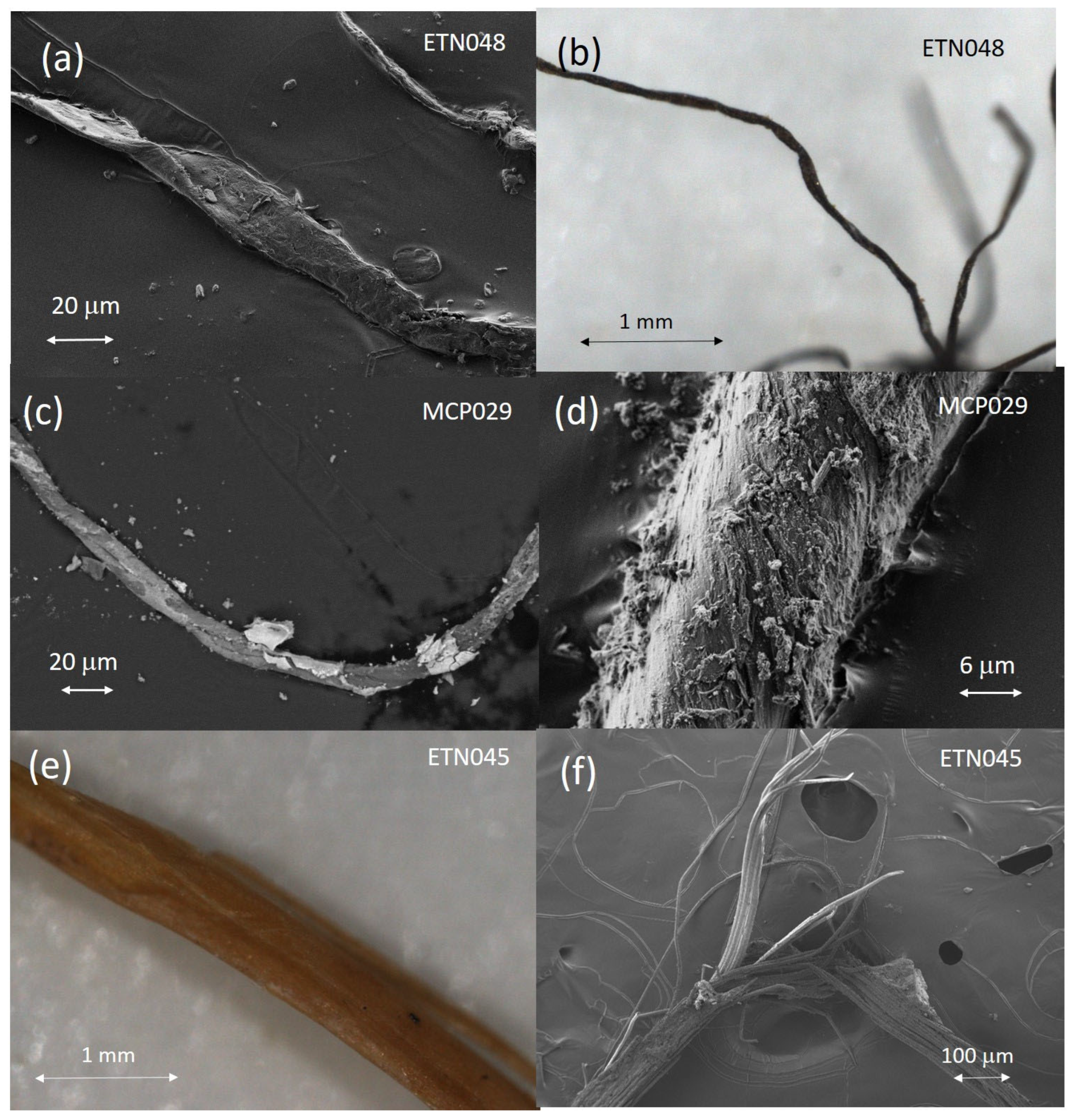 Molecules 30 02783 g010