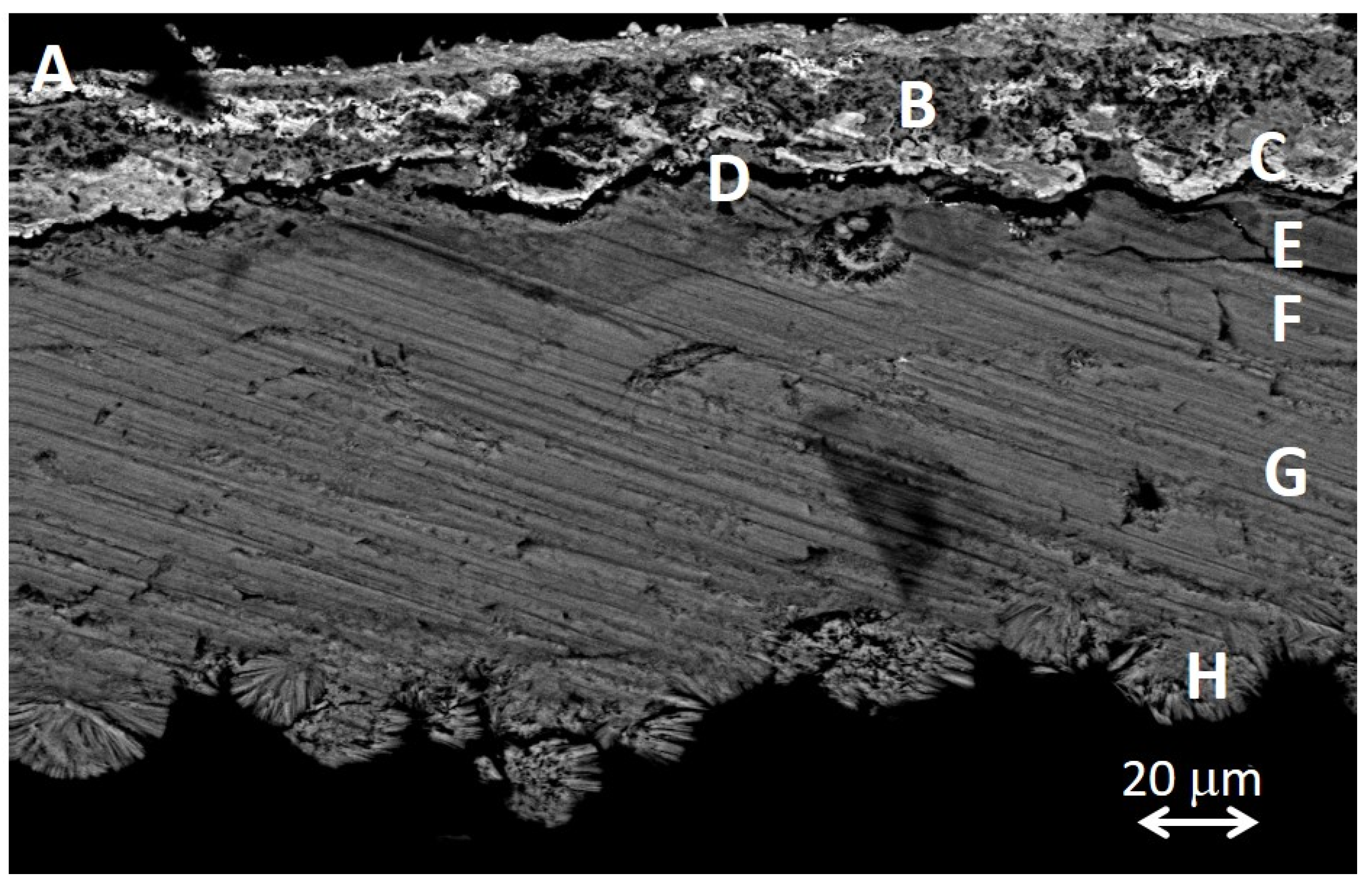 Molecules 30 02783 g016