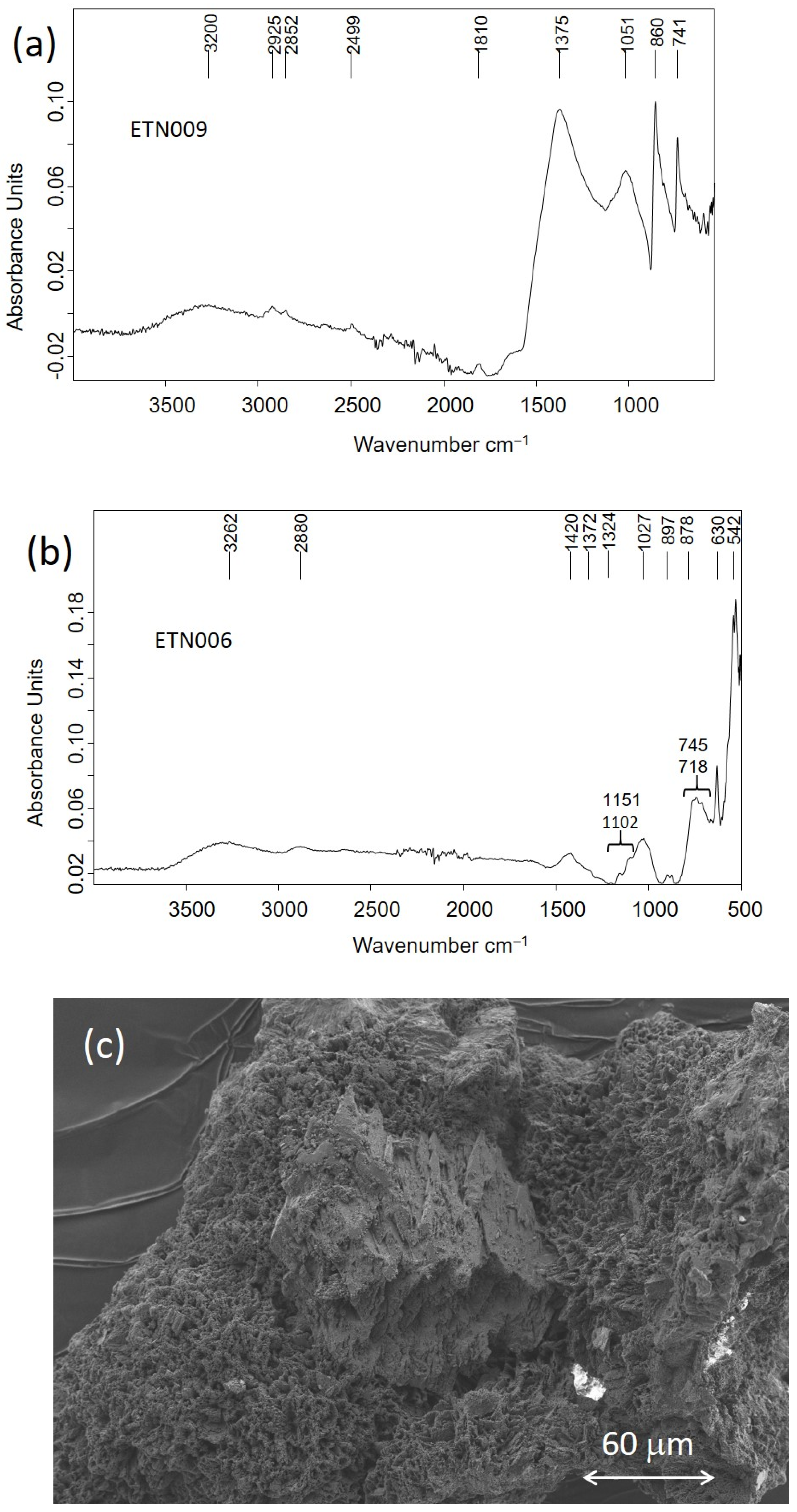 Molecules 30 02783 g018