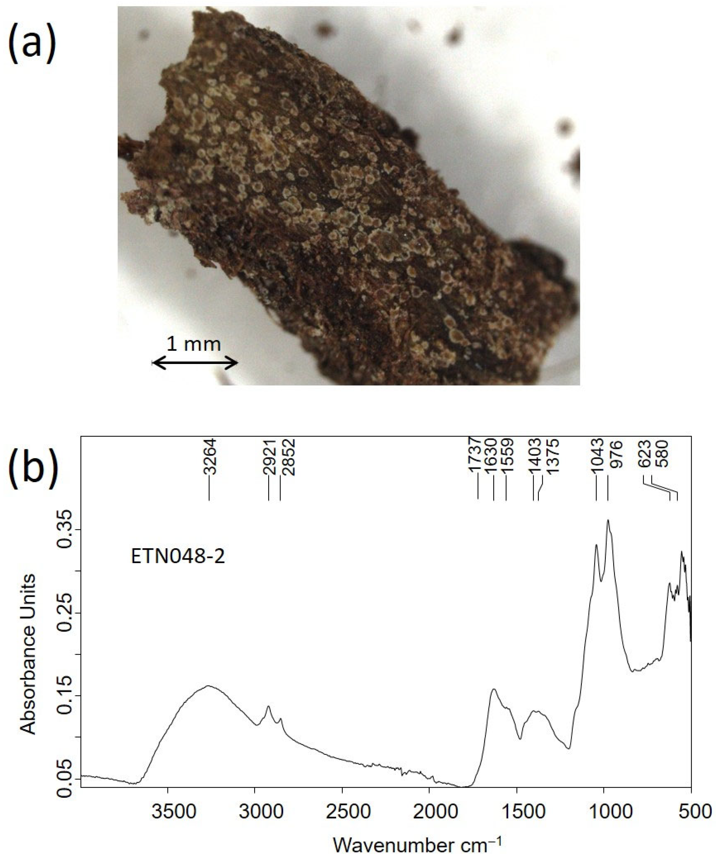 Molecules 30 02783 g019