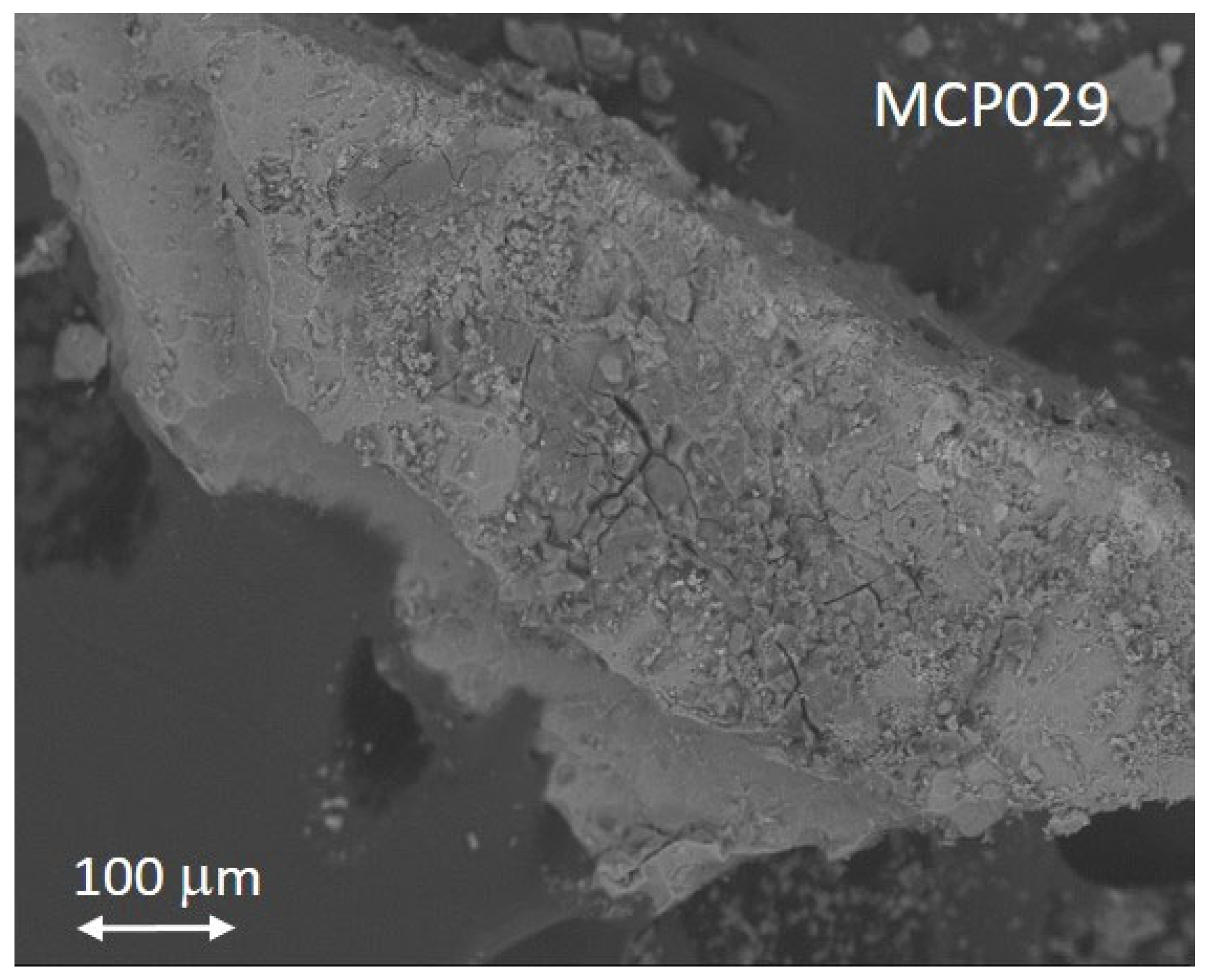 Molecules 30 02783 g021
