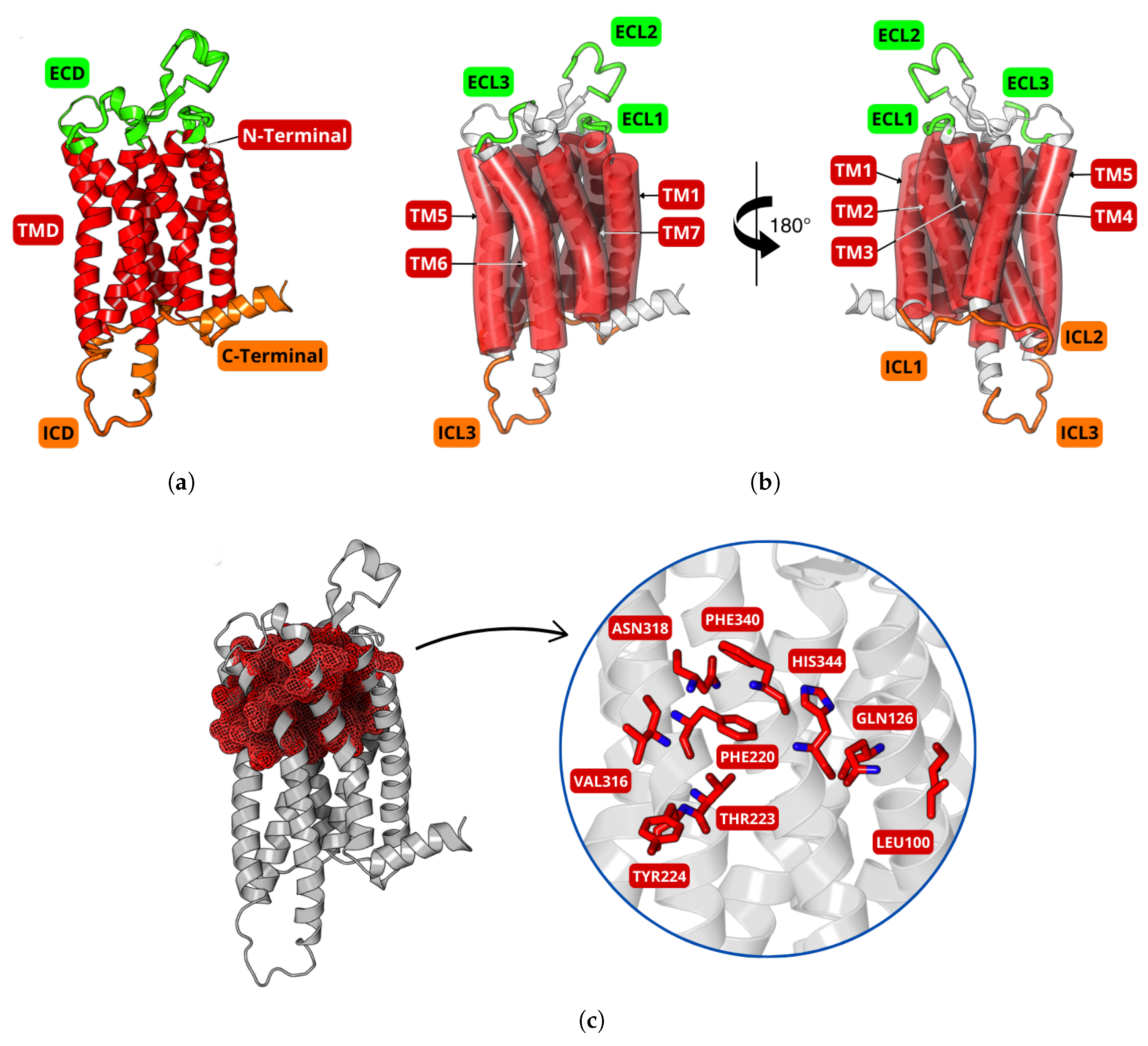 Molecules 30 02790 g008