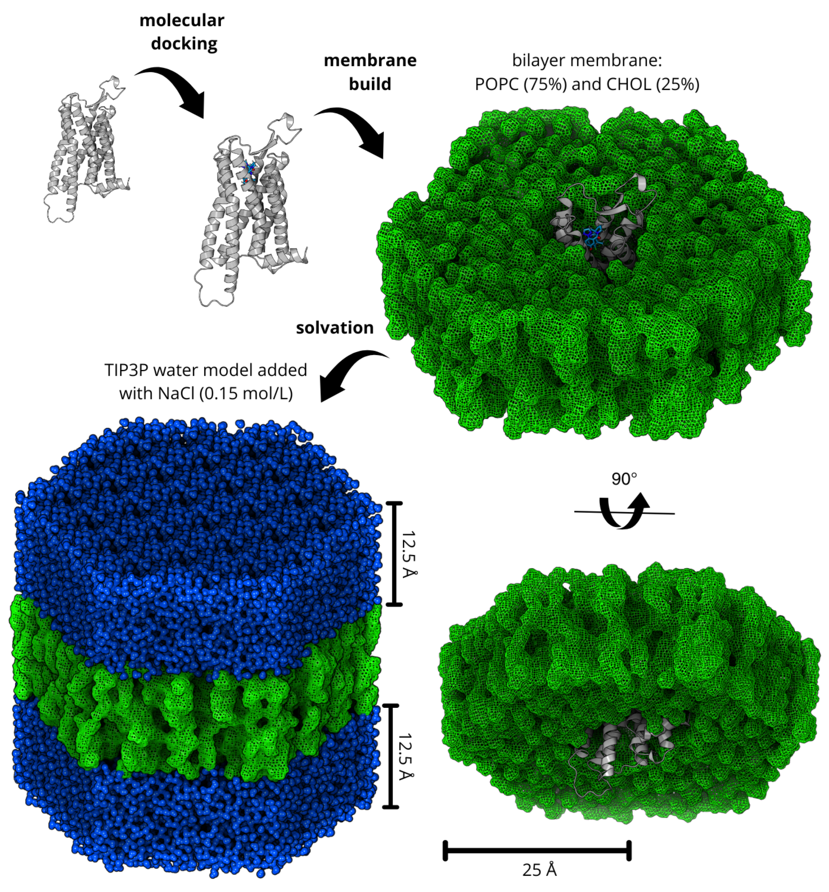 Molecules 30 02790 g009