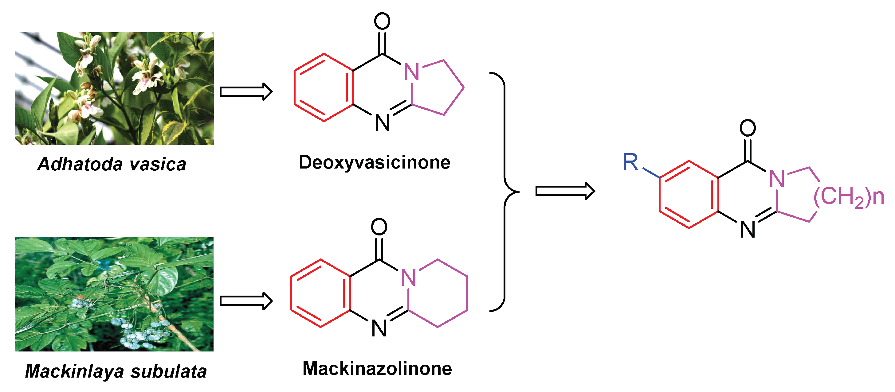 Molecules 30 02791 g002