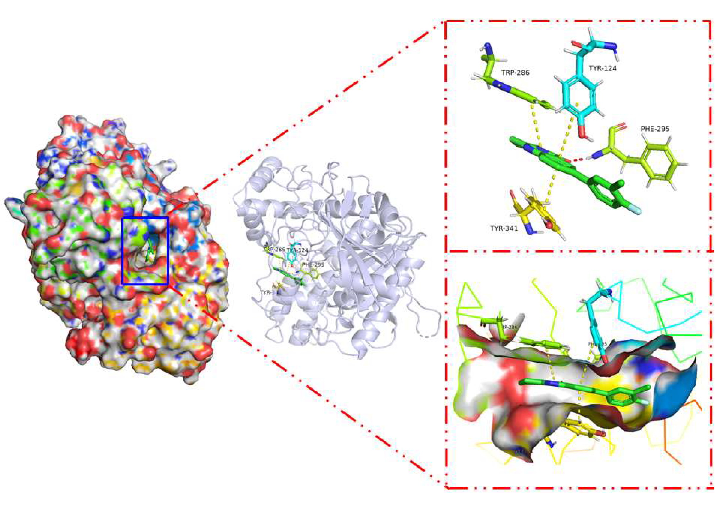 Molecules 30 02791 g005