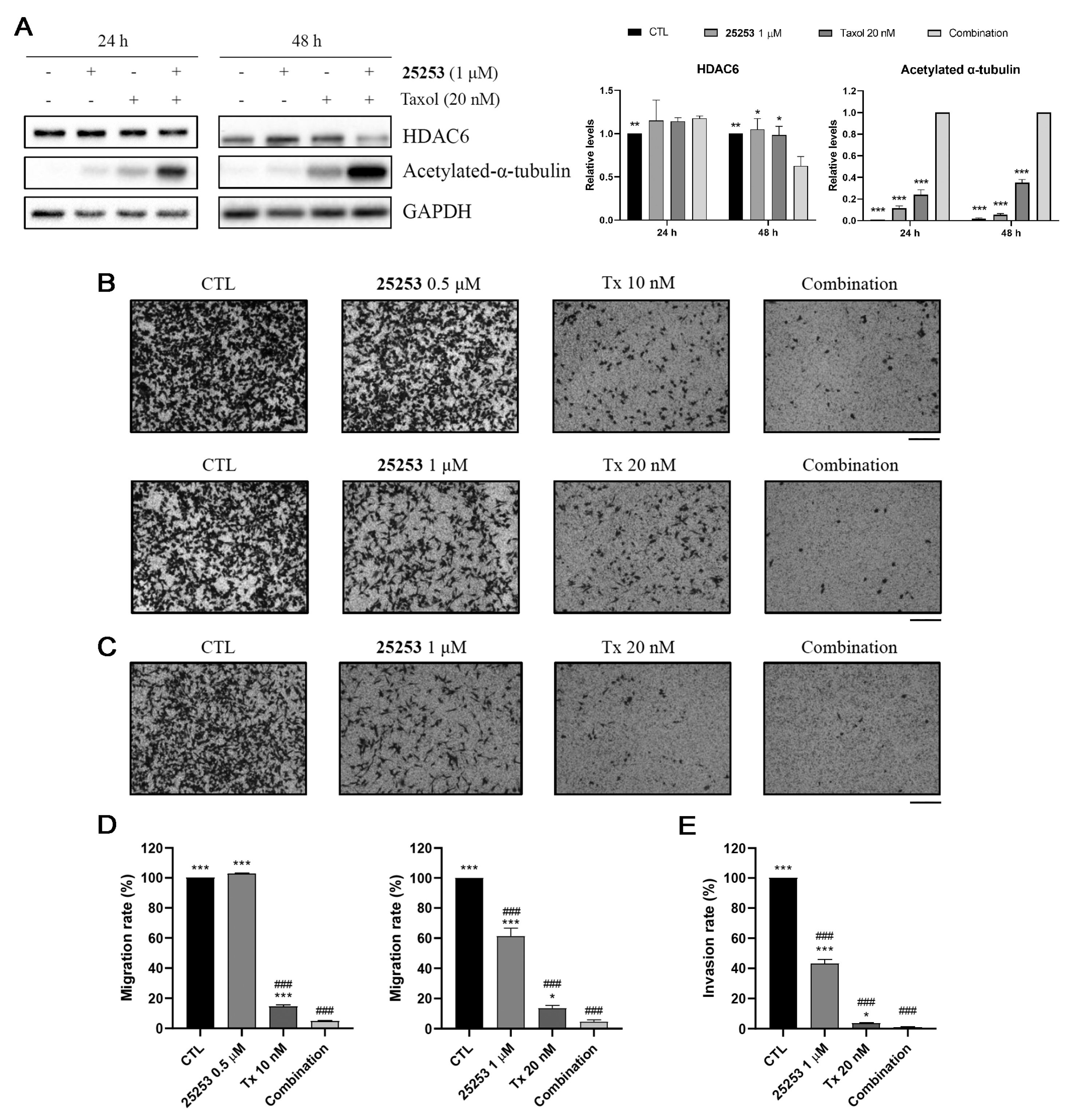 Molecules 30 02793 g007