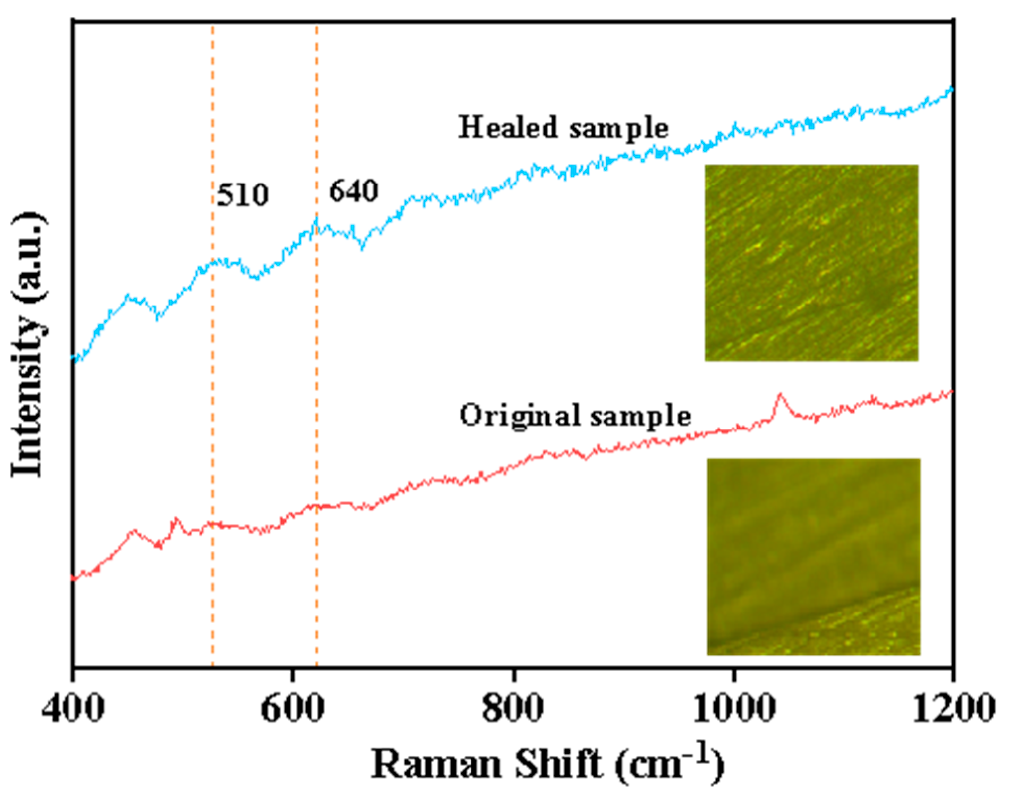 Molecules 30 02794 g006
