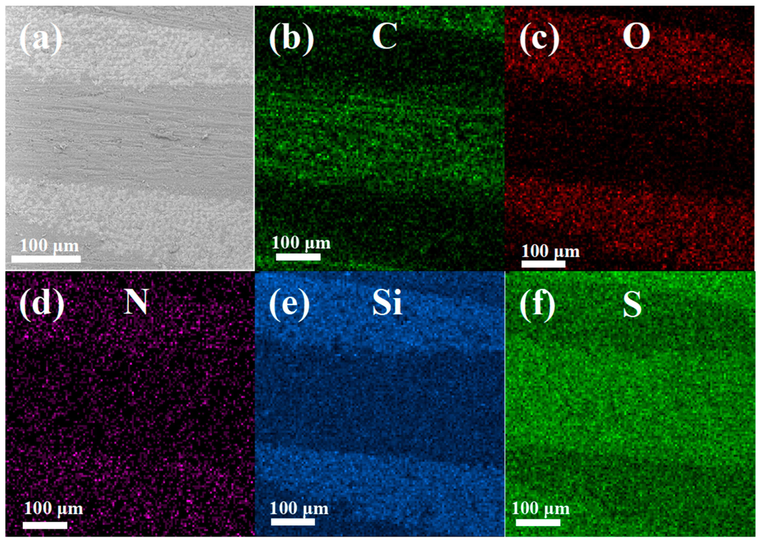 Molecules 30 02794 g009